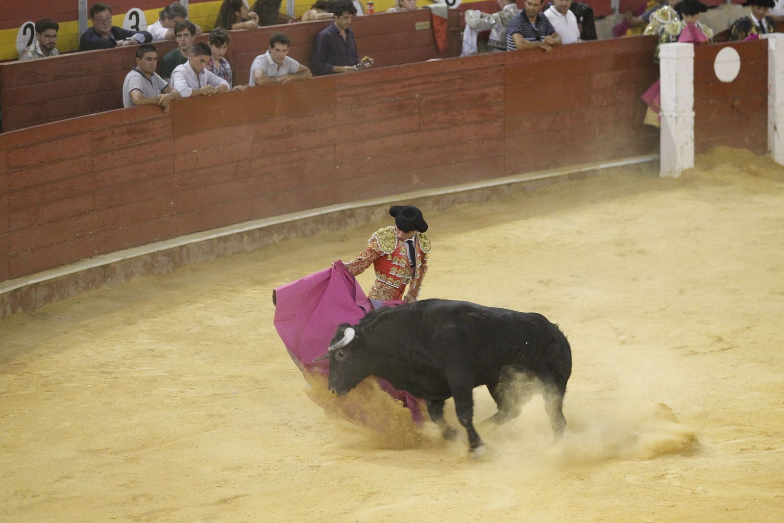 Fotogalería novillada Escuela Taurina de Almería. Feria de Almería 2019