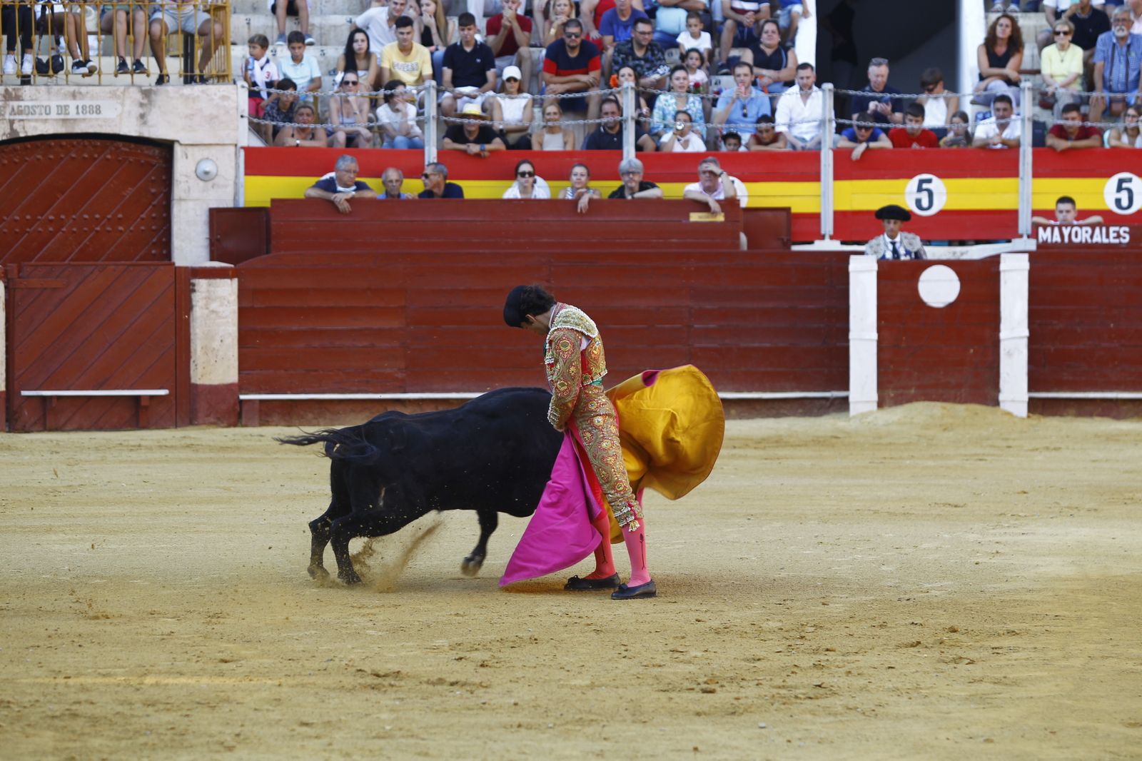 Imágenes de la novillada organizada por la Escuela Taurina de Almería