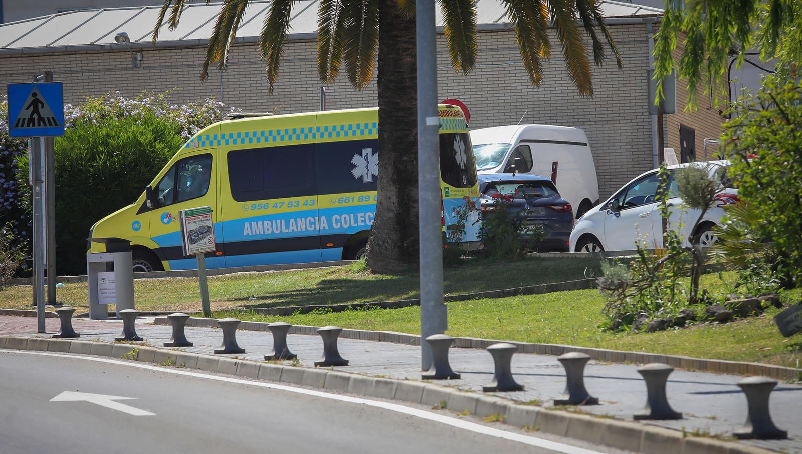 Coronavirus, imágenes del viernes 19 de junio