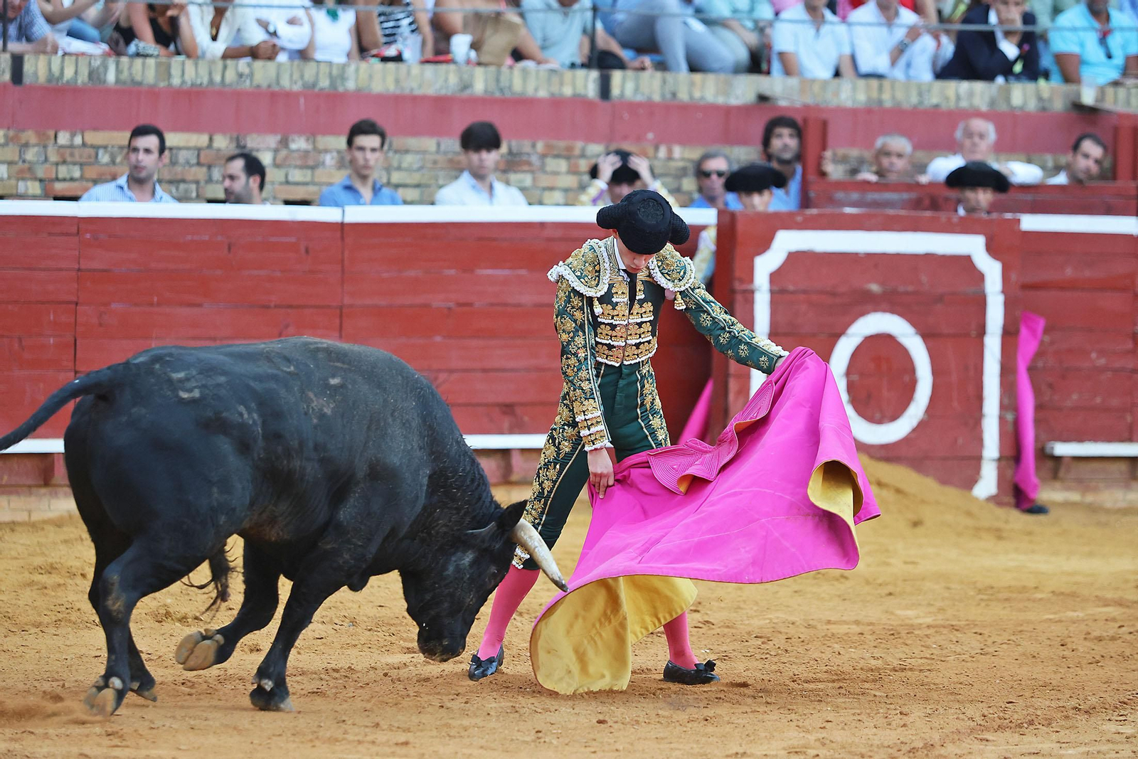 Toros La Merced 2024 Novillada con picadores(