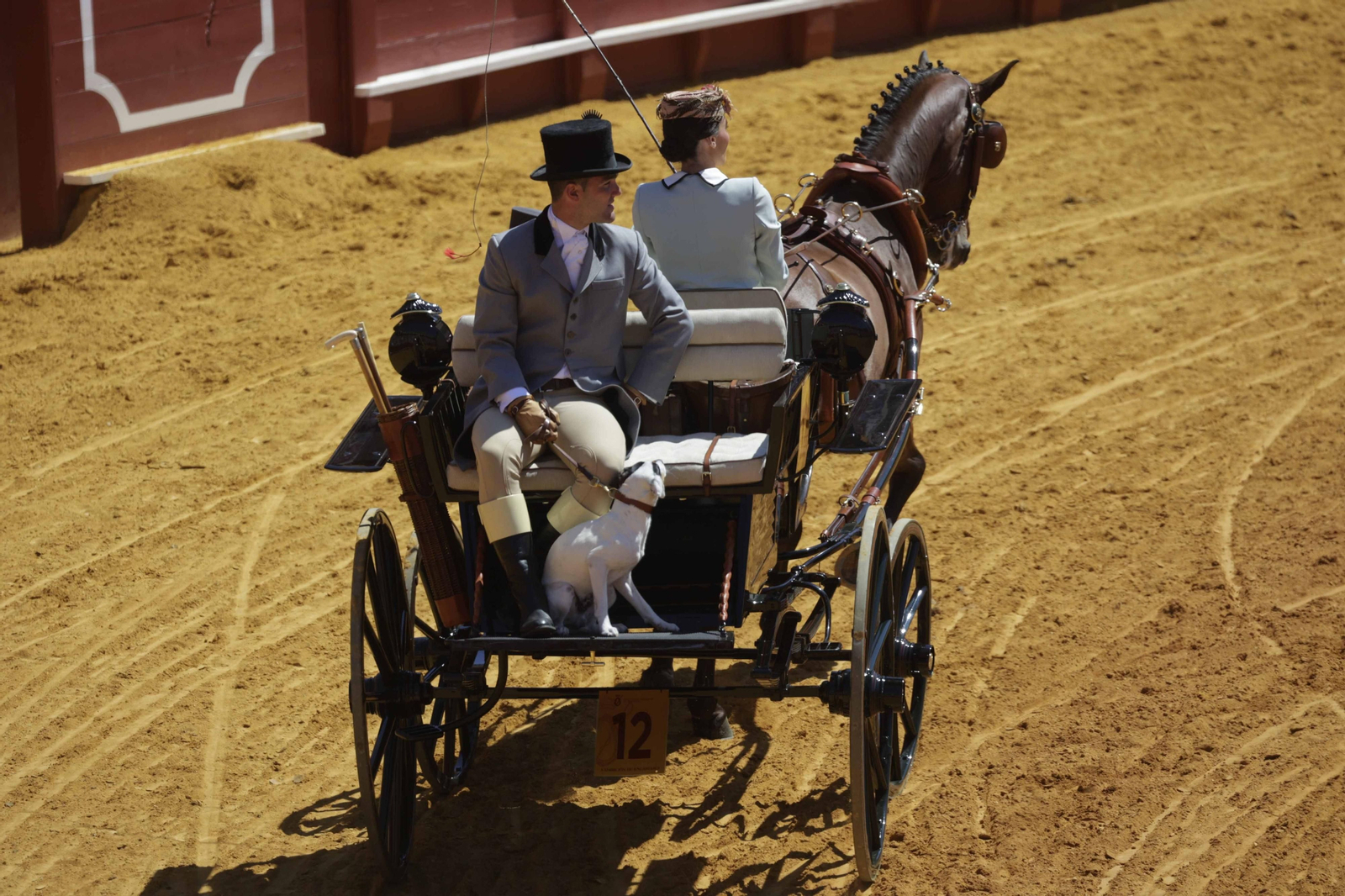 Las imágenes de la exhibición  de enganches en la Maestranza