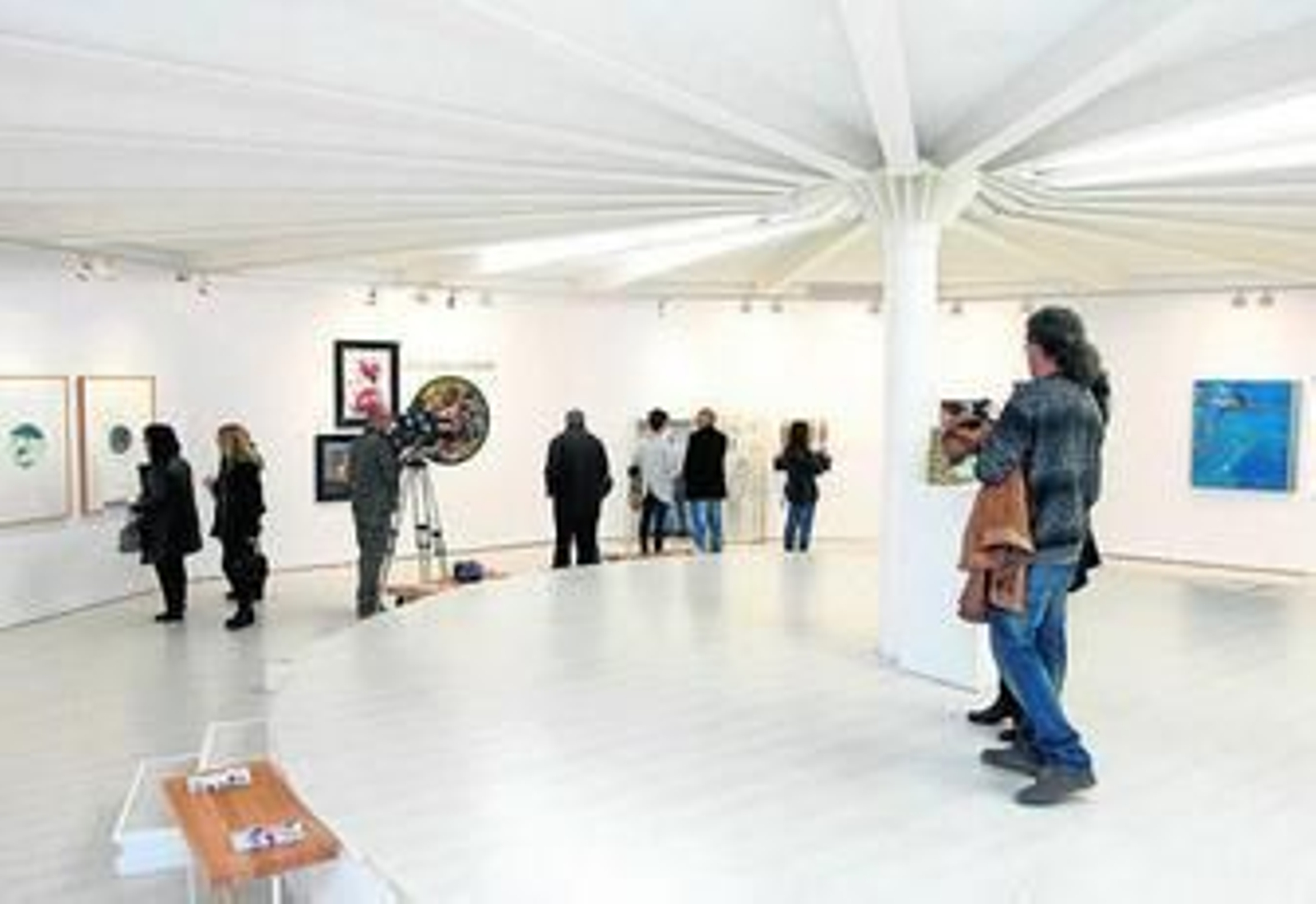 1. Vista general de la exposición. 2. La colección Oscar de Rovira y Romero. 3. Fernado Baños junto a sus obras. 4 . Beatriz Sánchez ante uno de sus cuadros. 5 . La escultura Mi bagaje, de Anna Jonsson.