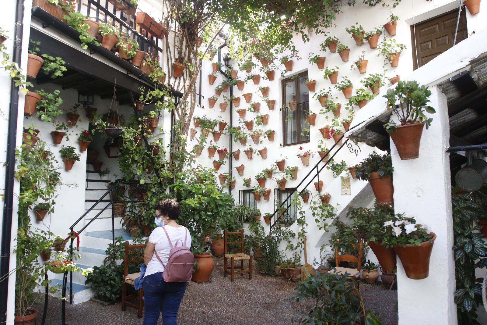 Las fotografías de los Patios de Córdoba en otoño