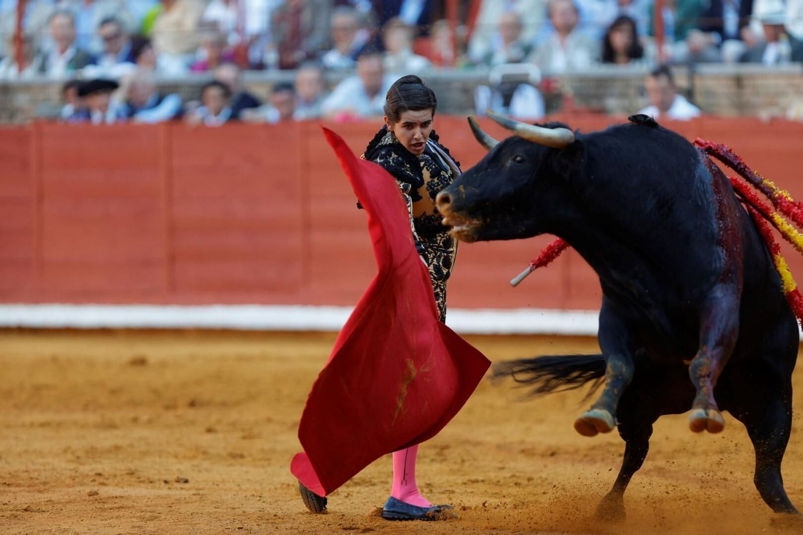 Las imágenes de la corrida de Ventura, Morante y Román en la Feria Taurina de Córdoba