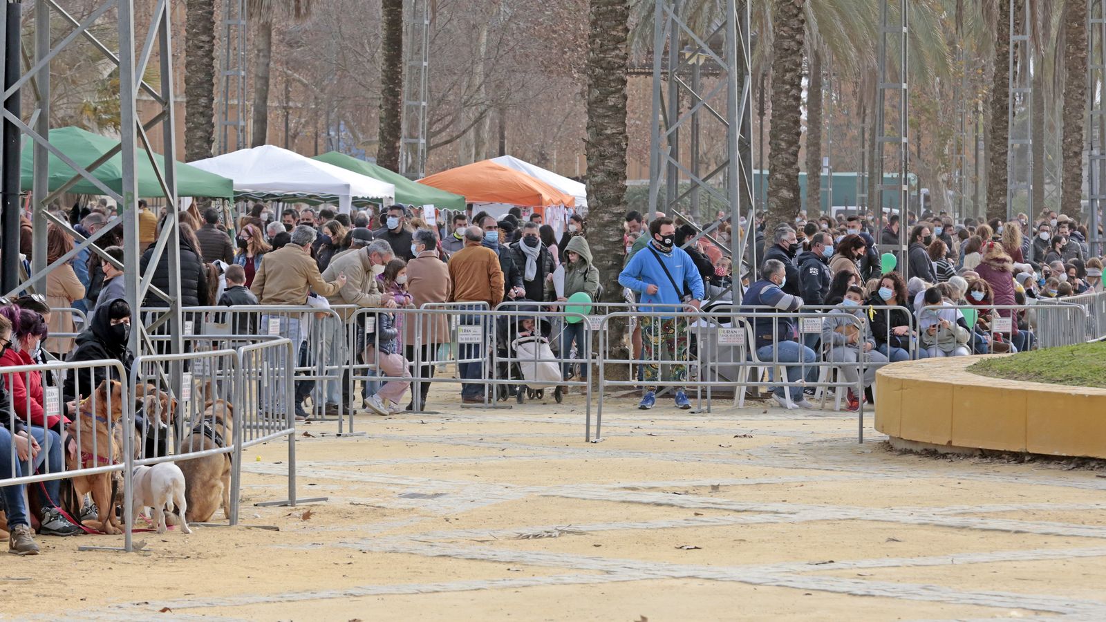 Imágenes de la 'Fiesta de San Antón 2022'