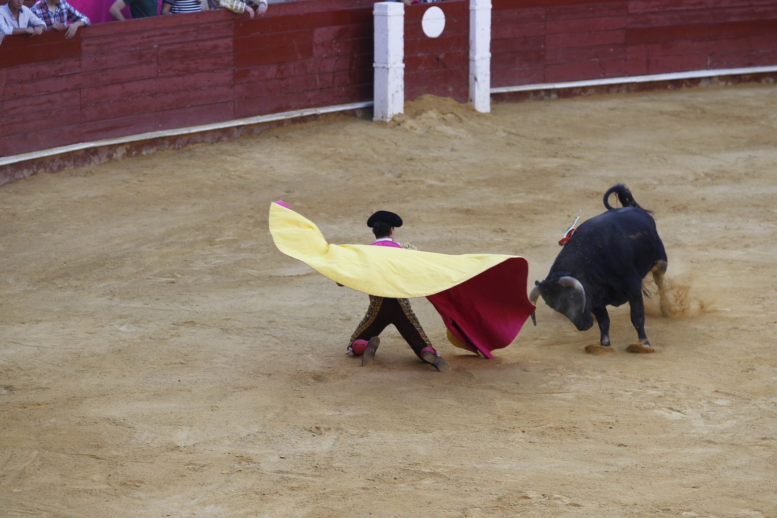 Fotogalería novillada Escuela Taurina de Almería. Feria de Almería 2019