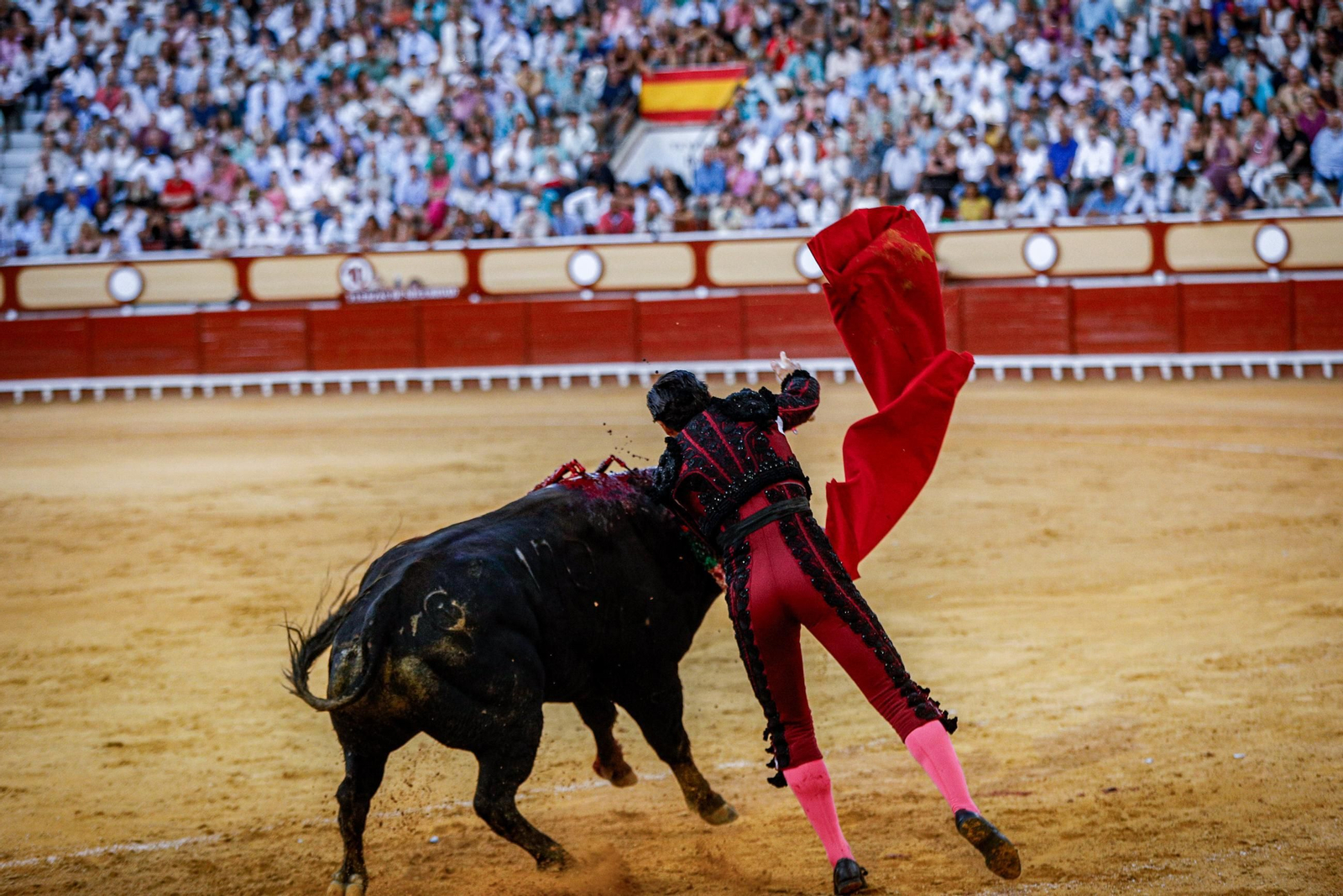 Imágenes de la corrida de toros en El Puerto: Manzanares, Roca Rey y Pablo Aguado