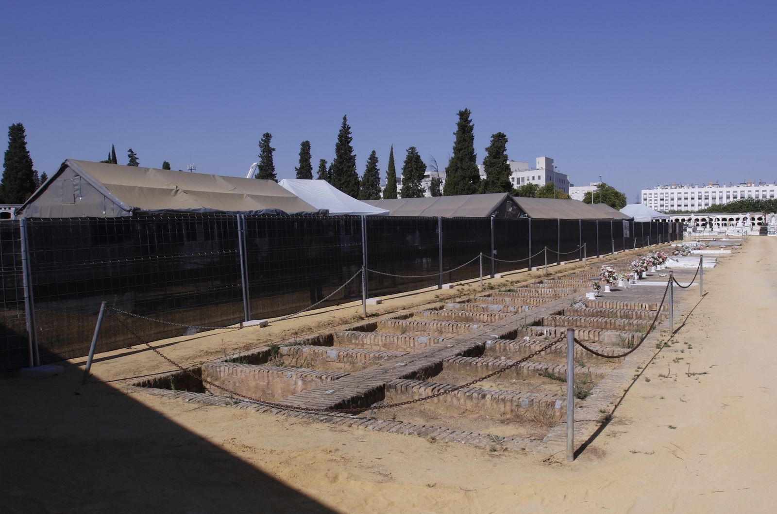 Visita a la fosa de Pico Reja