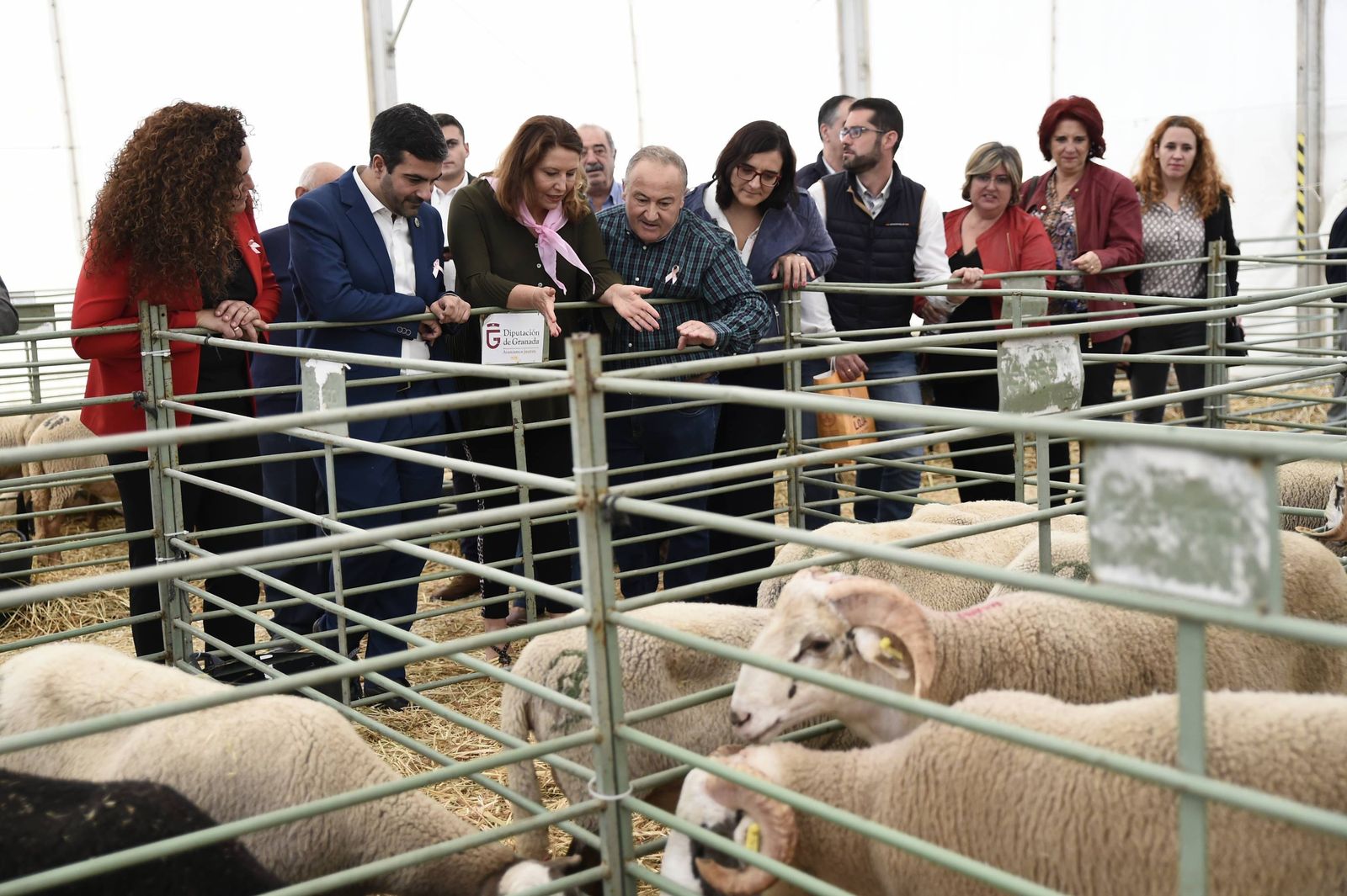 Prorrogado el plazo para la solicitud de ayudas para la celebración de certámenes y jornadas técnicas dirigidas a agricultores y ganaderos