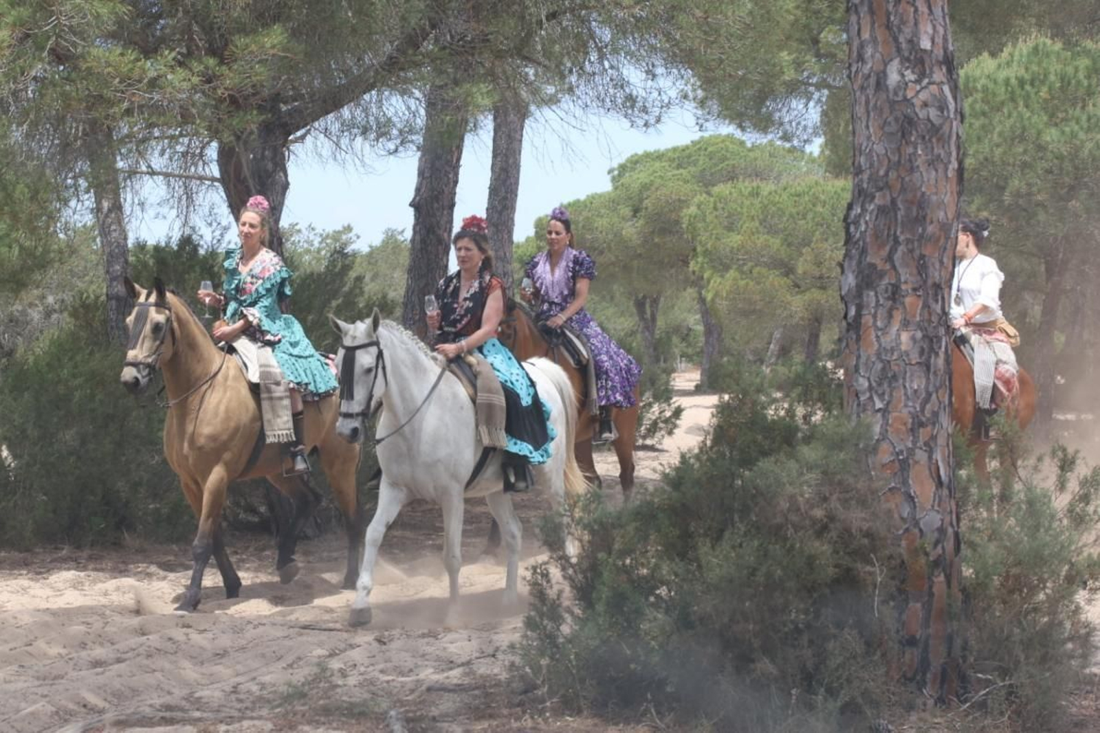 Imágenes de la Hermandad del Rocío de Jerez el jueves por el Coto