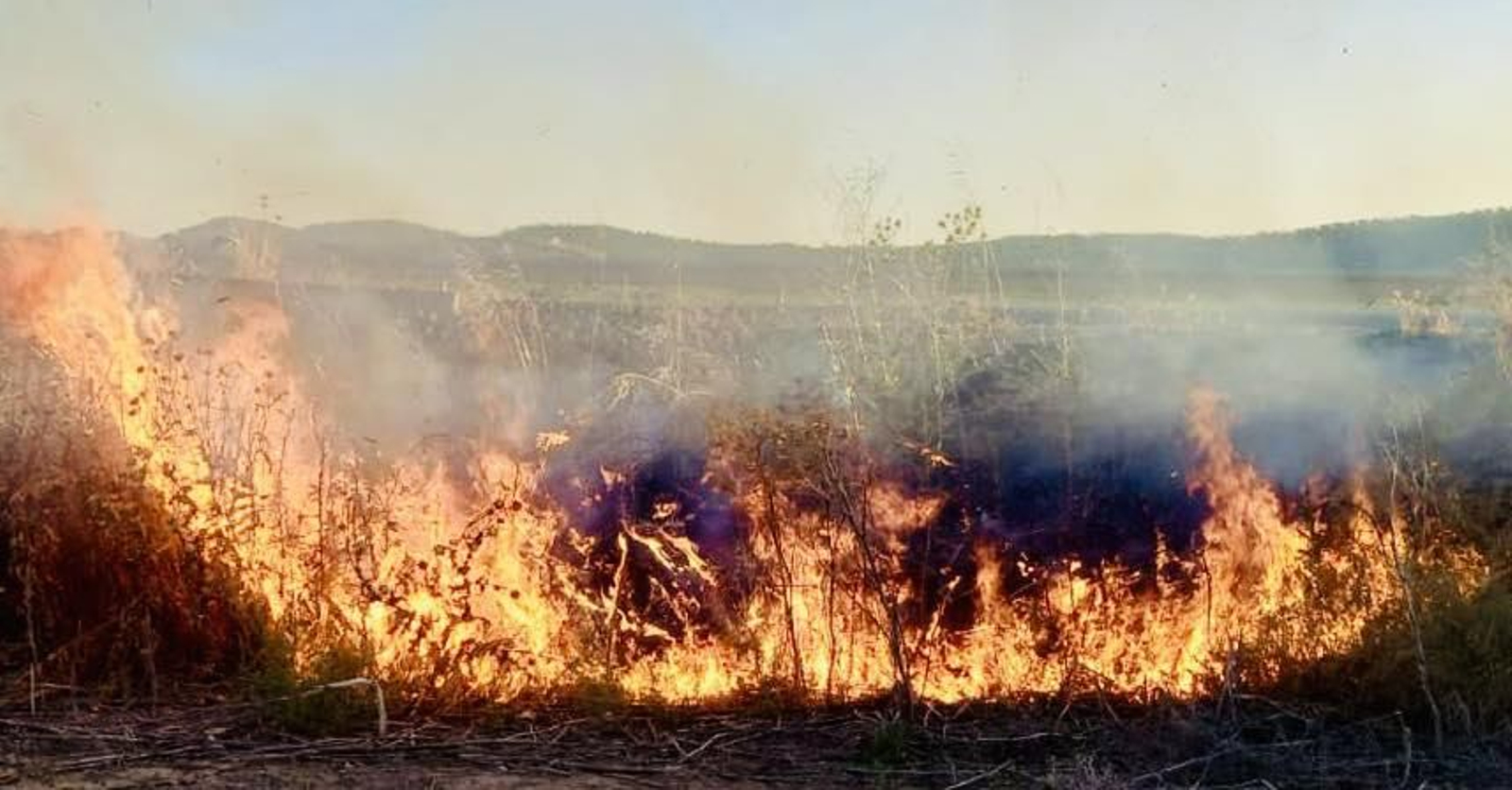Incendio hace cuatro días en la carretera de Fuerte de Rey. Incendio hace cuatro días en la carretera de Fuerte de Rey.