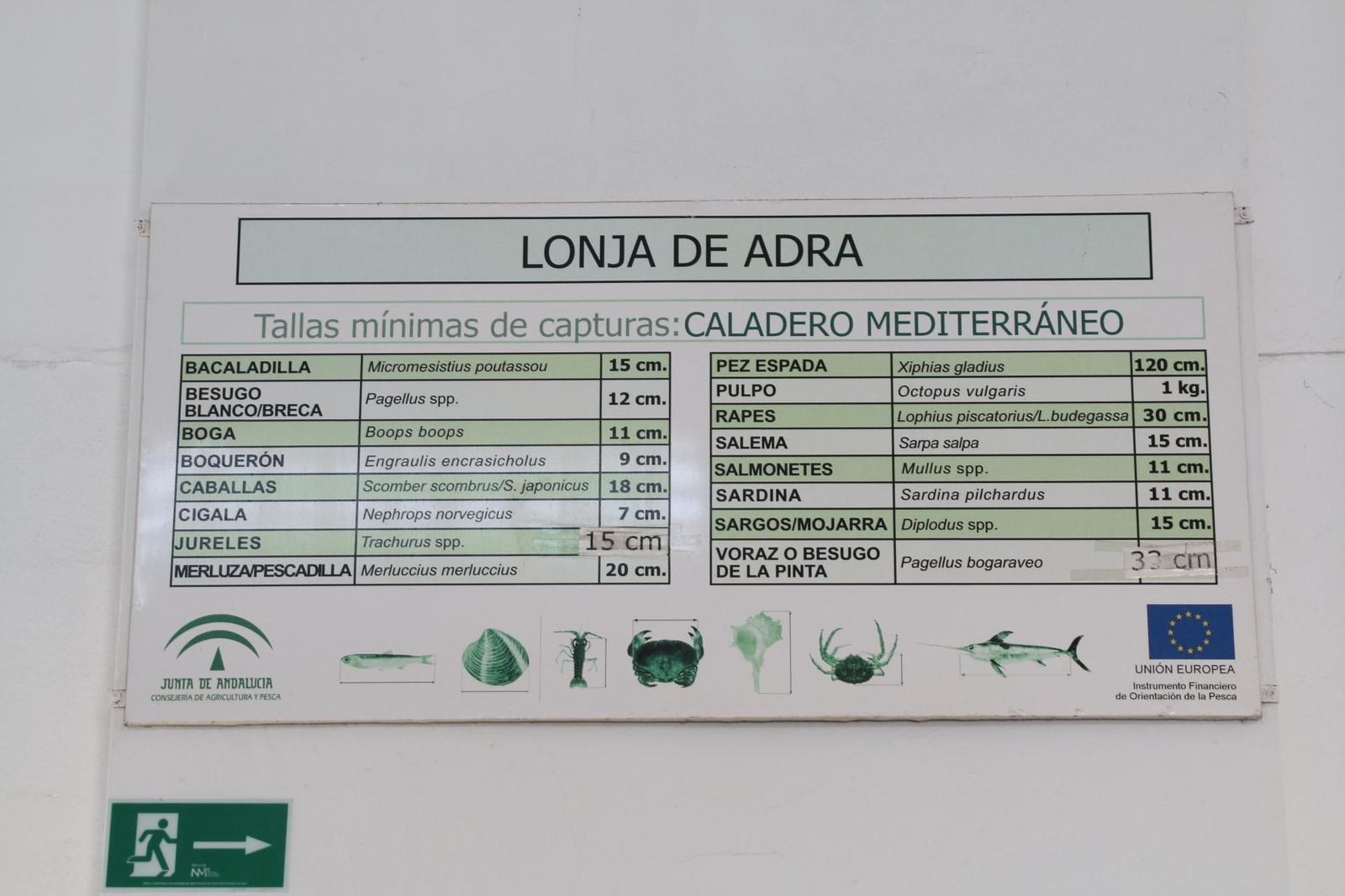 Fotogalería de la Cofradía de Pescadores de Adra