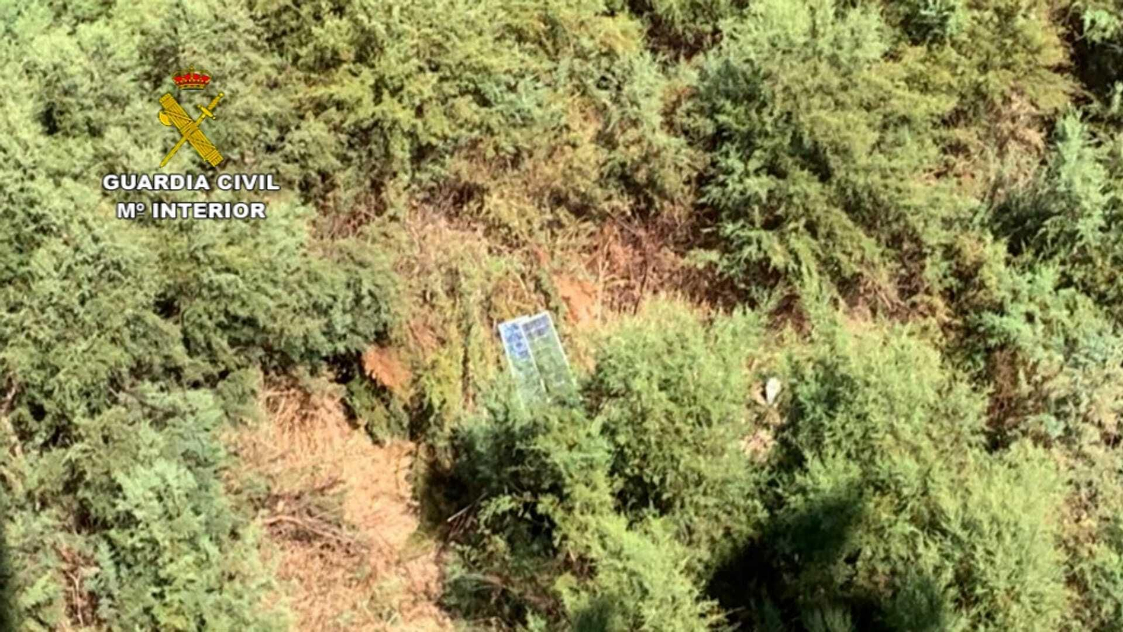 Imágenes de la actuación de la Guardia Civil en el Coto de Bornos