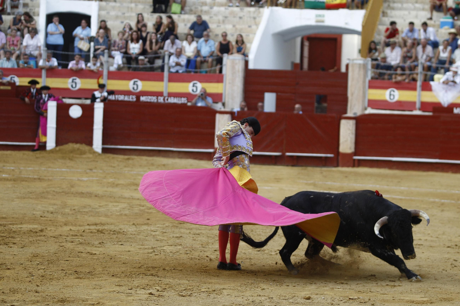 Imágenes de la novillada de la Feria de Almería 2025