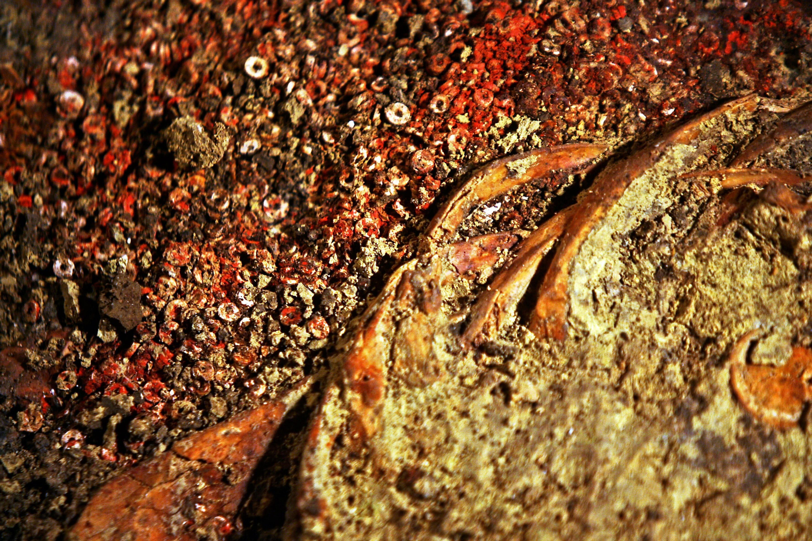 Las imágenes del Santuario de Montelirio en Castilleja de Guzmán