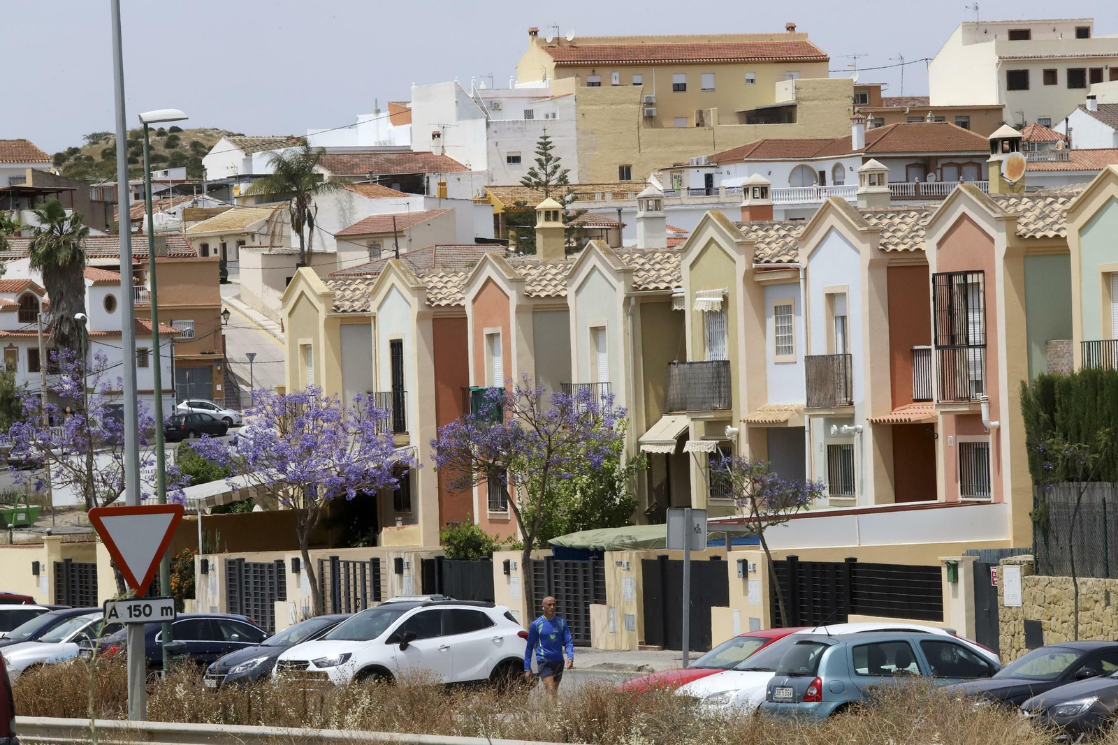 Campanillas en fotos