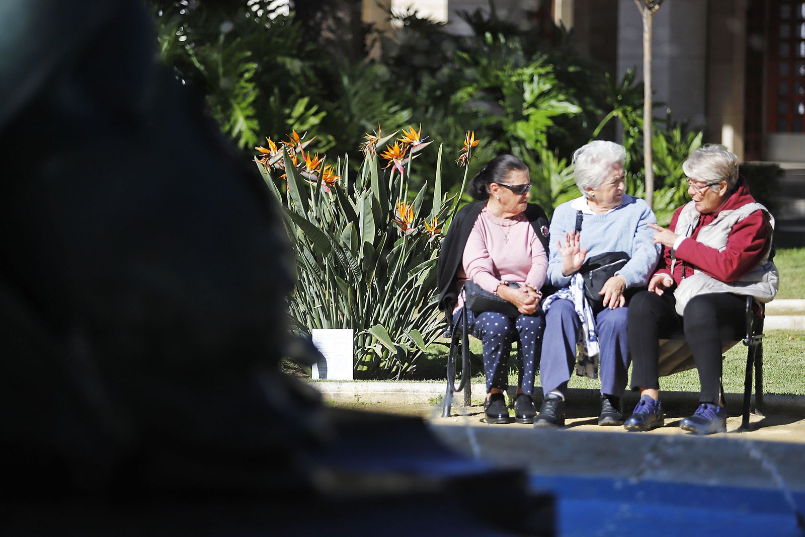 Las imágenes más destacadas del martes 7 de noviembre en Huelva