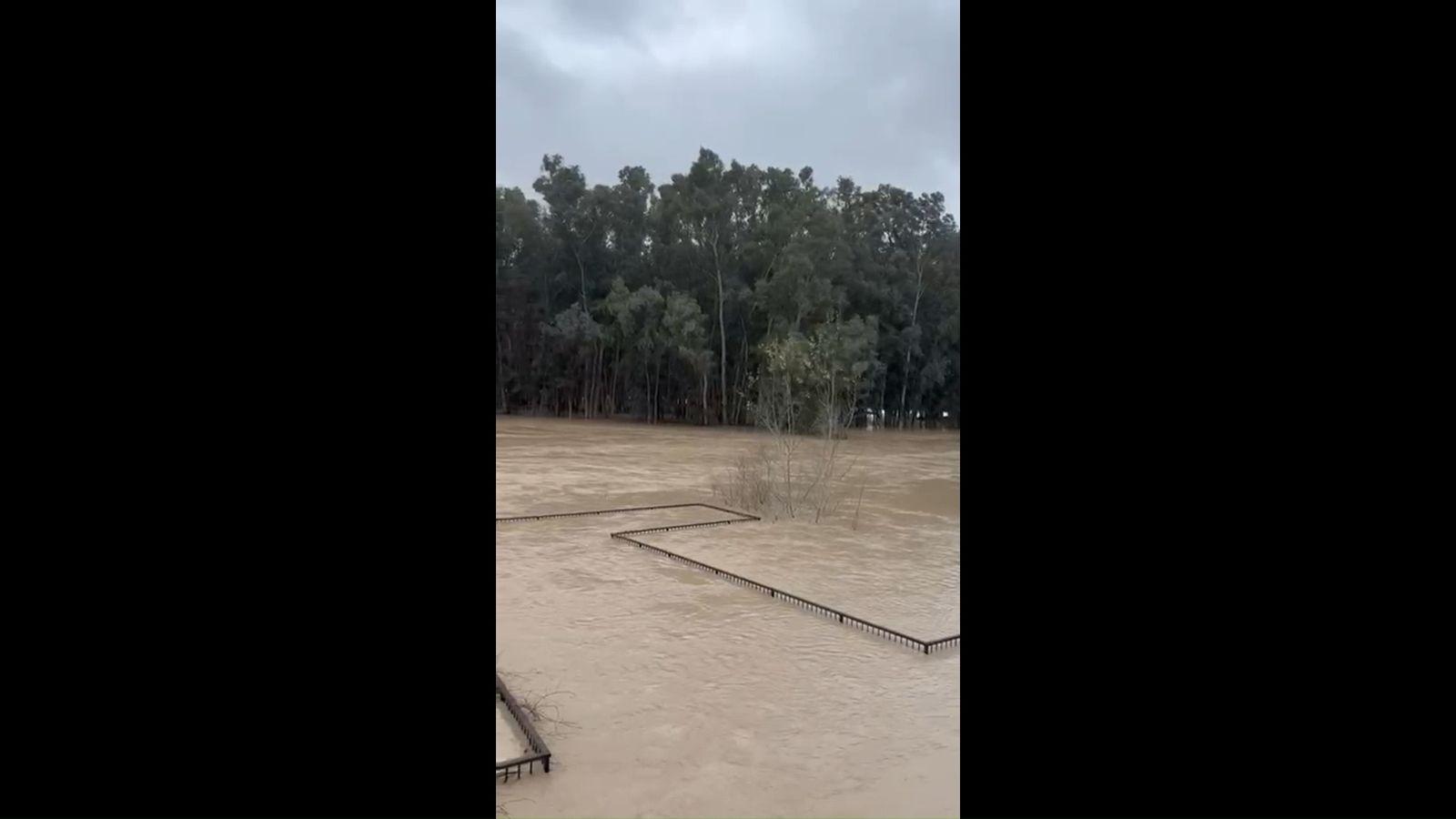 El río Genil se desborda a su paso por Palma del Río