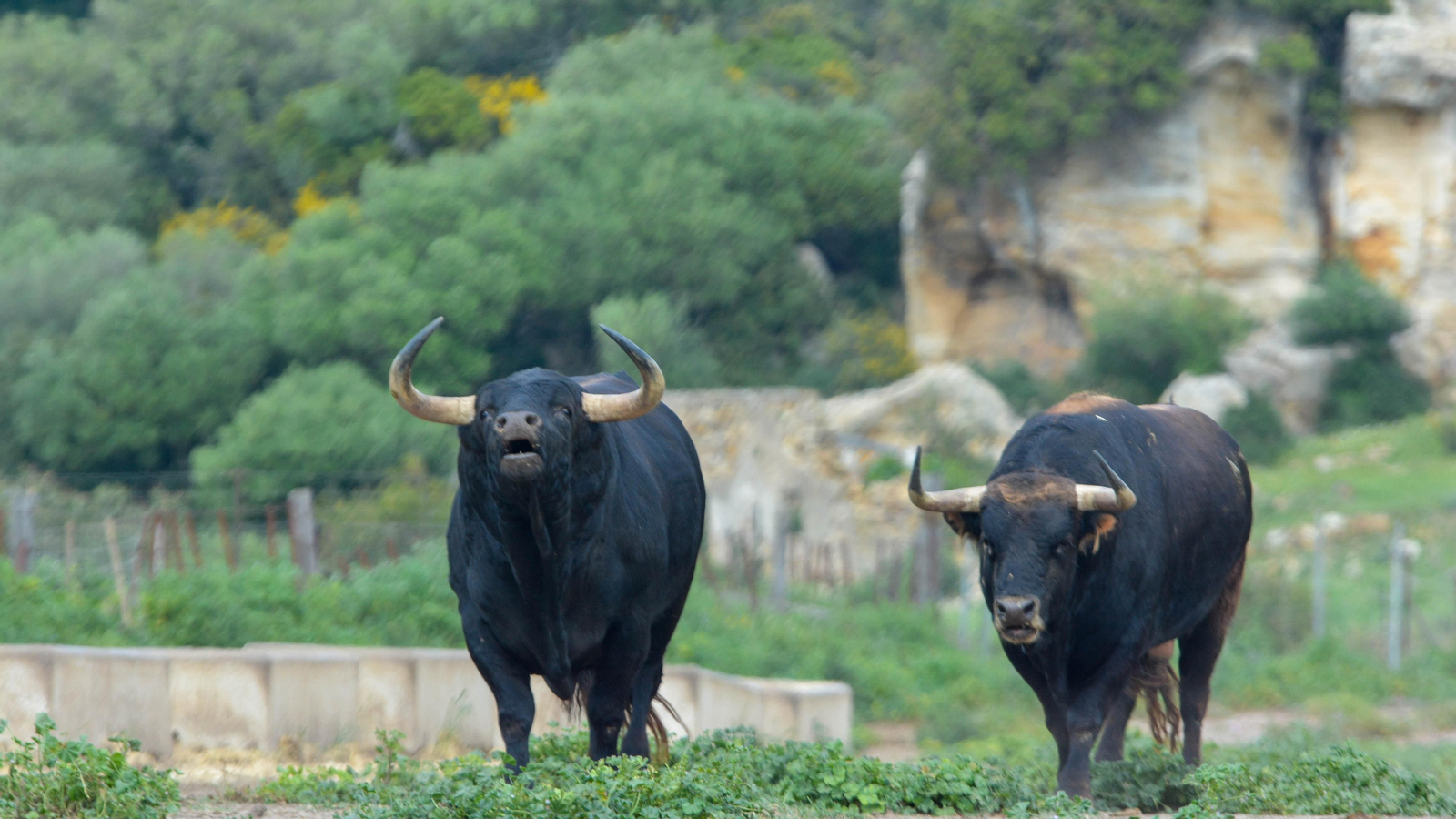 Finca La Palmosilla y la entrevista a Javier Nuñez