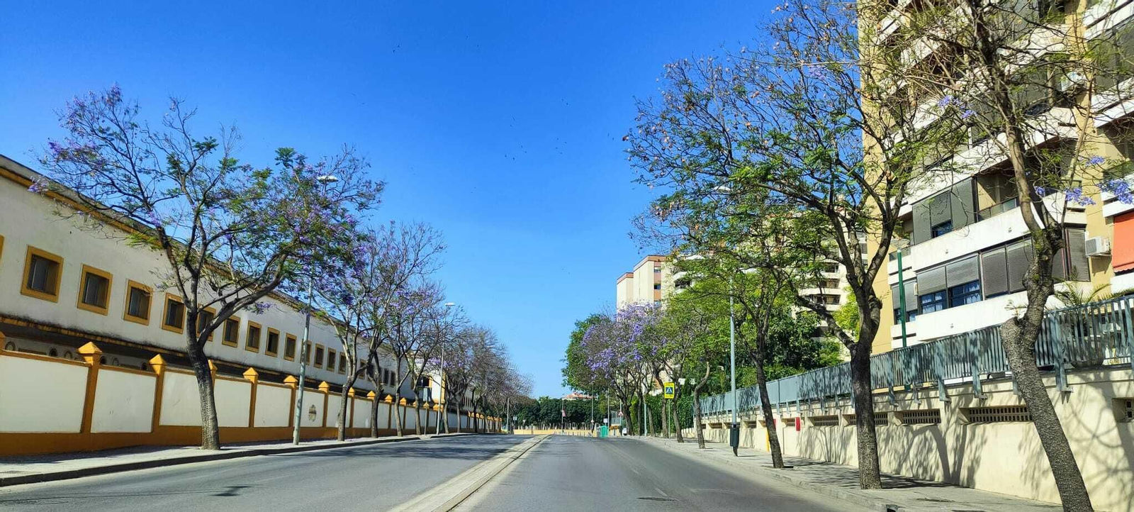 Jerez ha amanecido con los cielos despejados. Jerez ha amanecido con los cielos despejados.