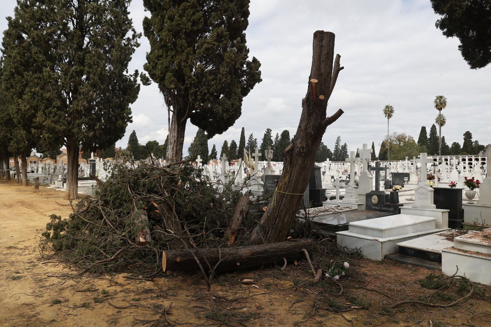 Destrozos provocados en las lápidas del cementerio por la caída de árboles