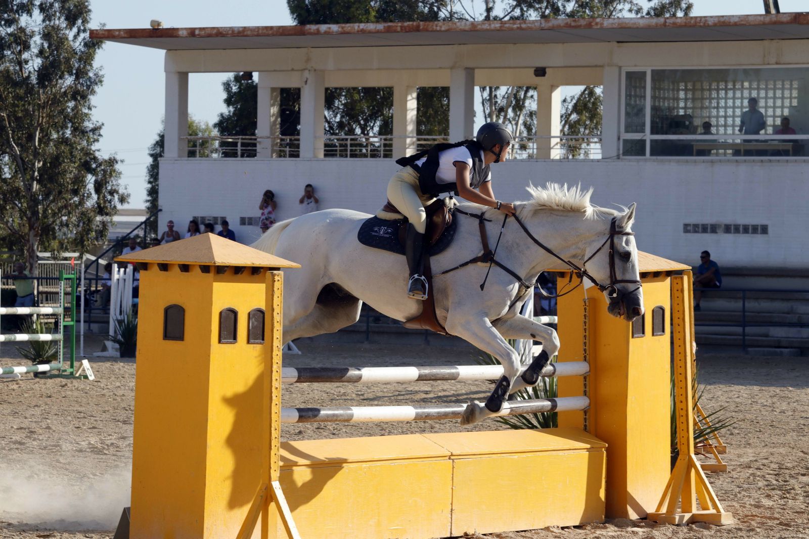 Fotogalería del XLV Concurso Nacional de Salto de Obstáculos