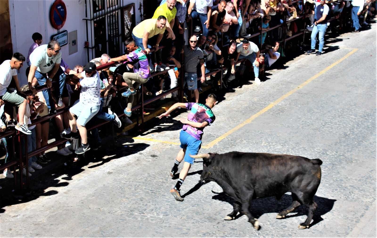Las imágenes de la celebración del Toro del Aleluya en Arcos 2024