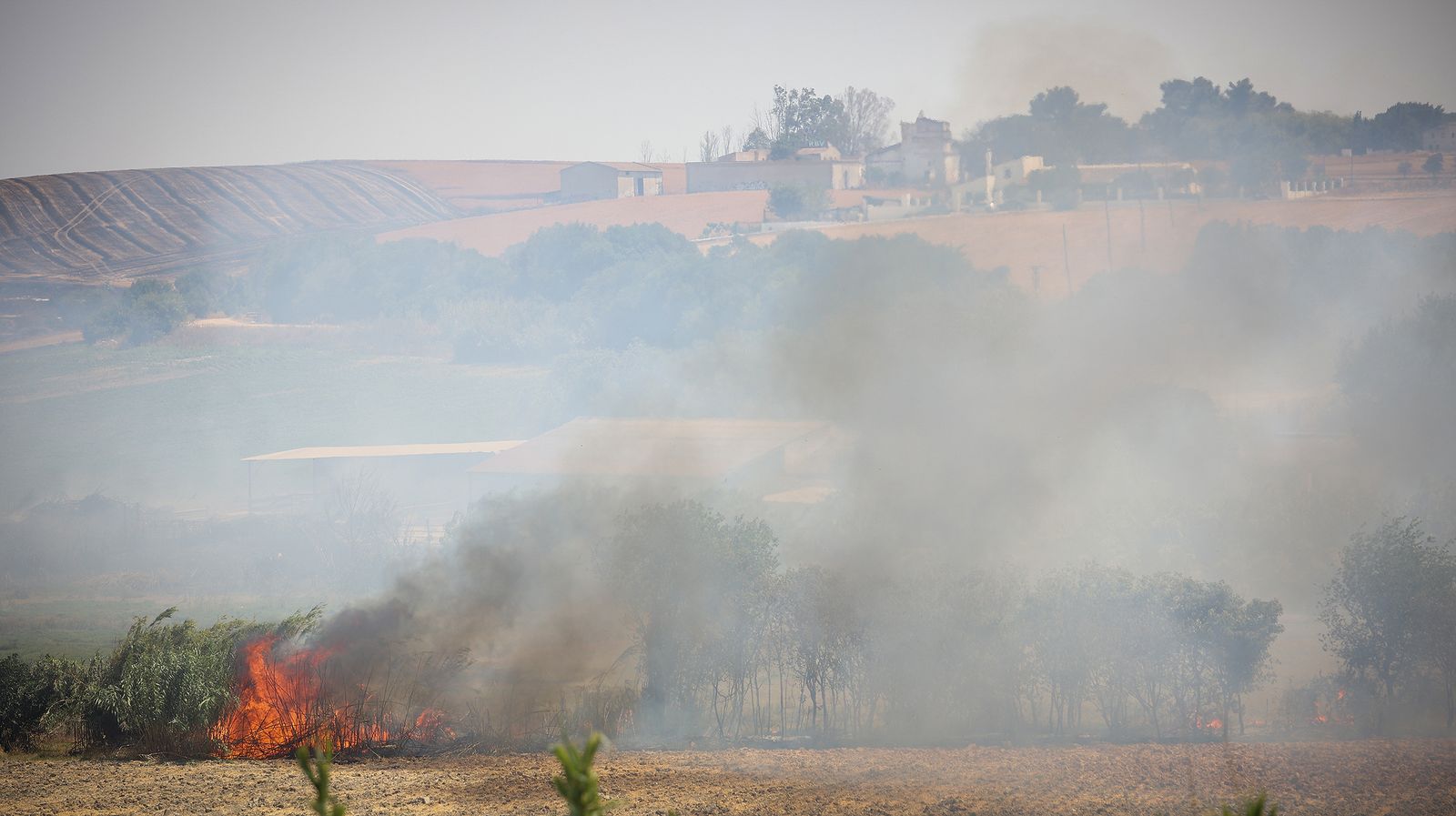 El fuego llega a las  casapuertas en Jerez