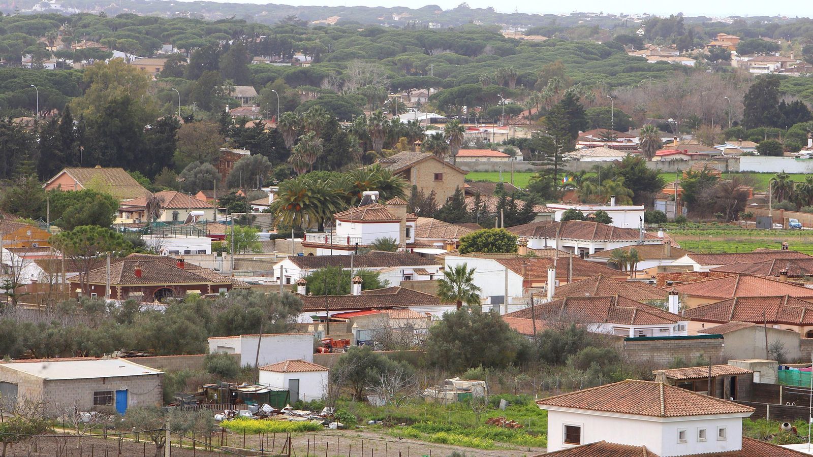 El Pleno aprobó un trámite para adaptar a Chiclana Natural a la Ley LISTA.