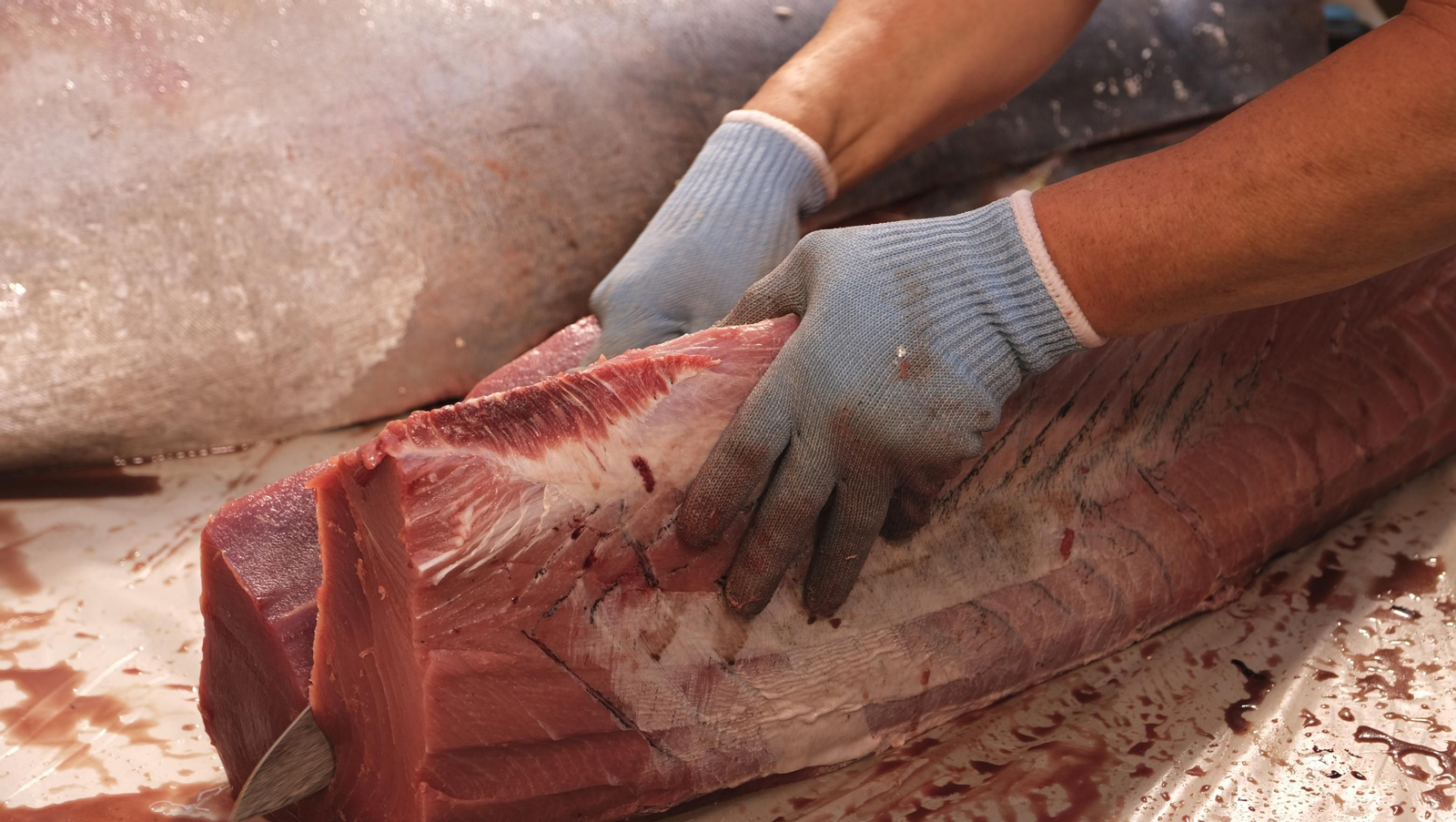 Jornadas del ronqueo del atún rojo de almadraba, en el Espacio Gastrómico Tony García.