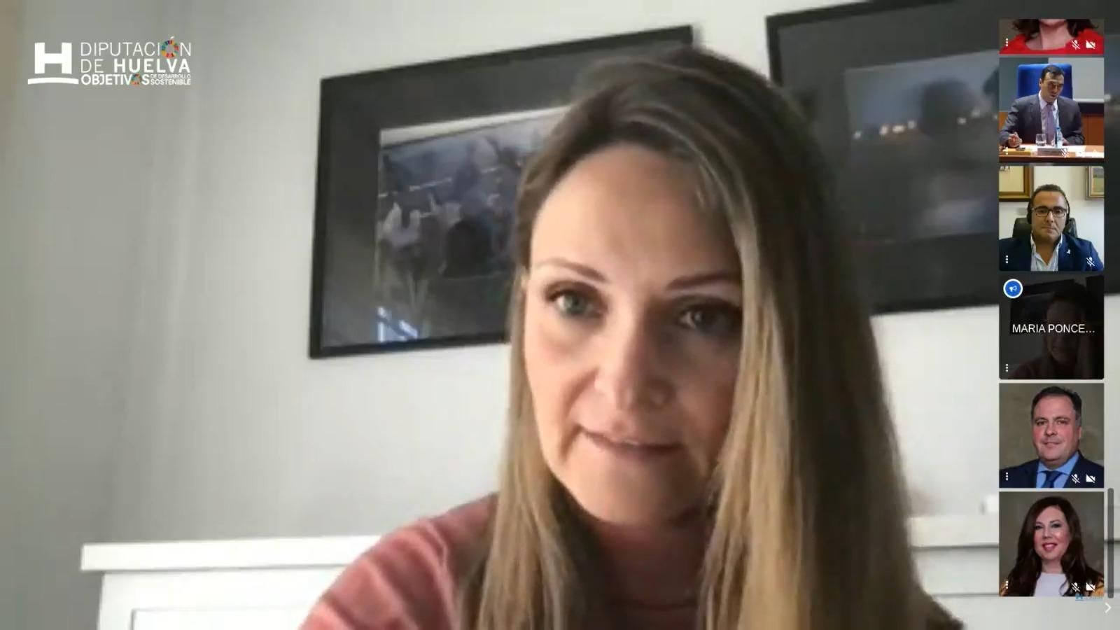 María Ponce, diputada provincial de Cs, en el transcurso del pleno telemático celebrado este lunes.