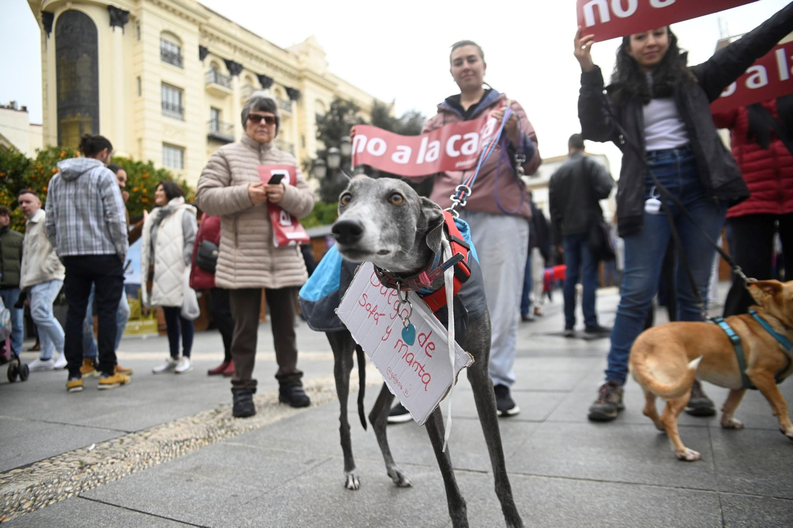 Decenas de personas exigen en Córdoba la protección de los perros utilizados para cazar