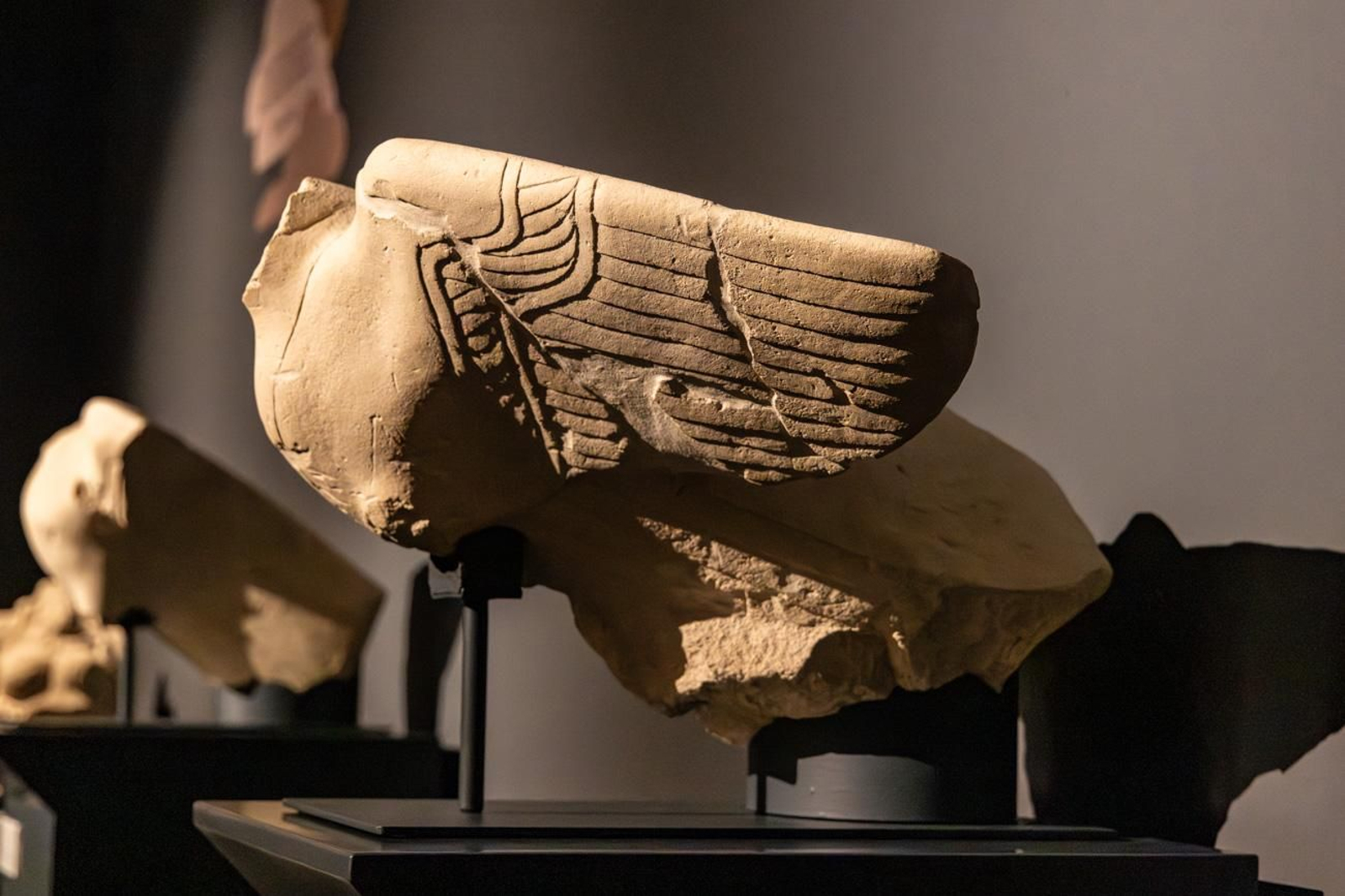 Presentación de la Exposición Seres de Ultratumba