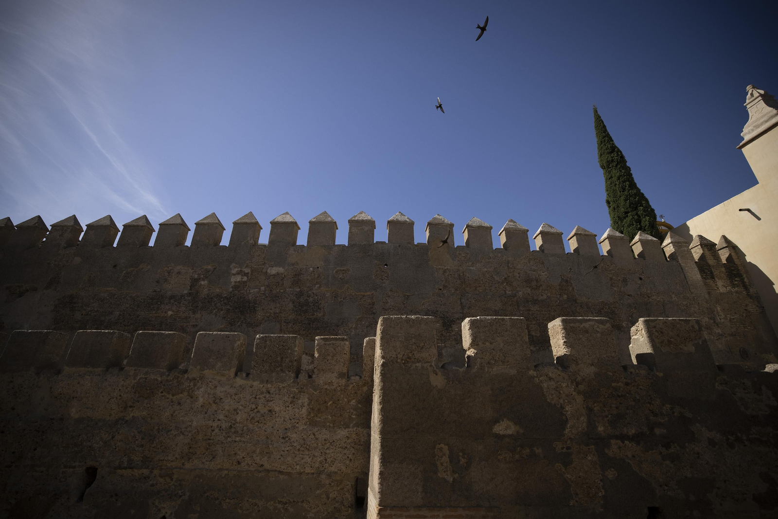 La muralla de la Macarena como nunca la viste, todas las imágenes