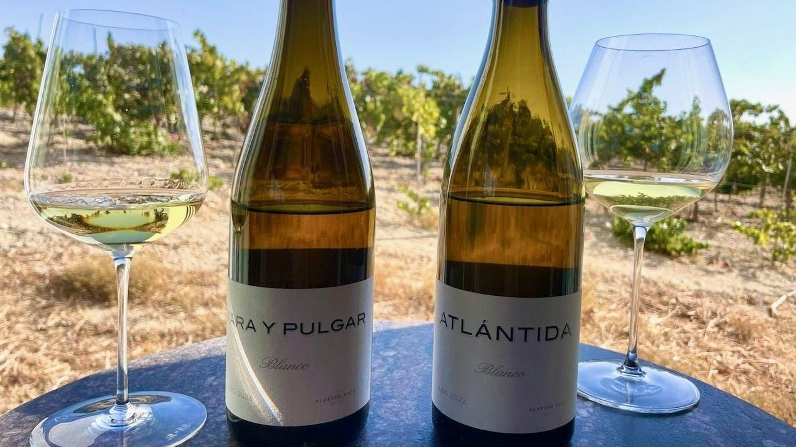 Compañía de Vinos del Atlántico.