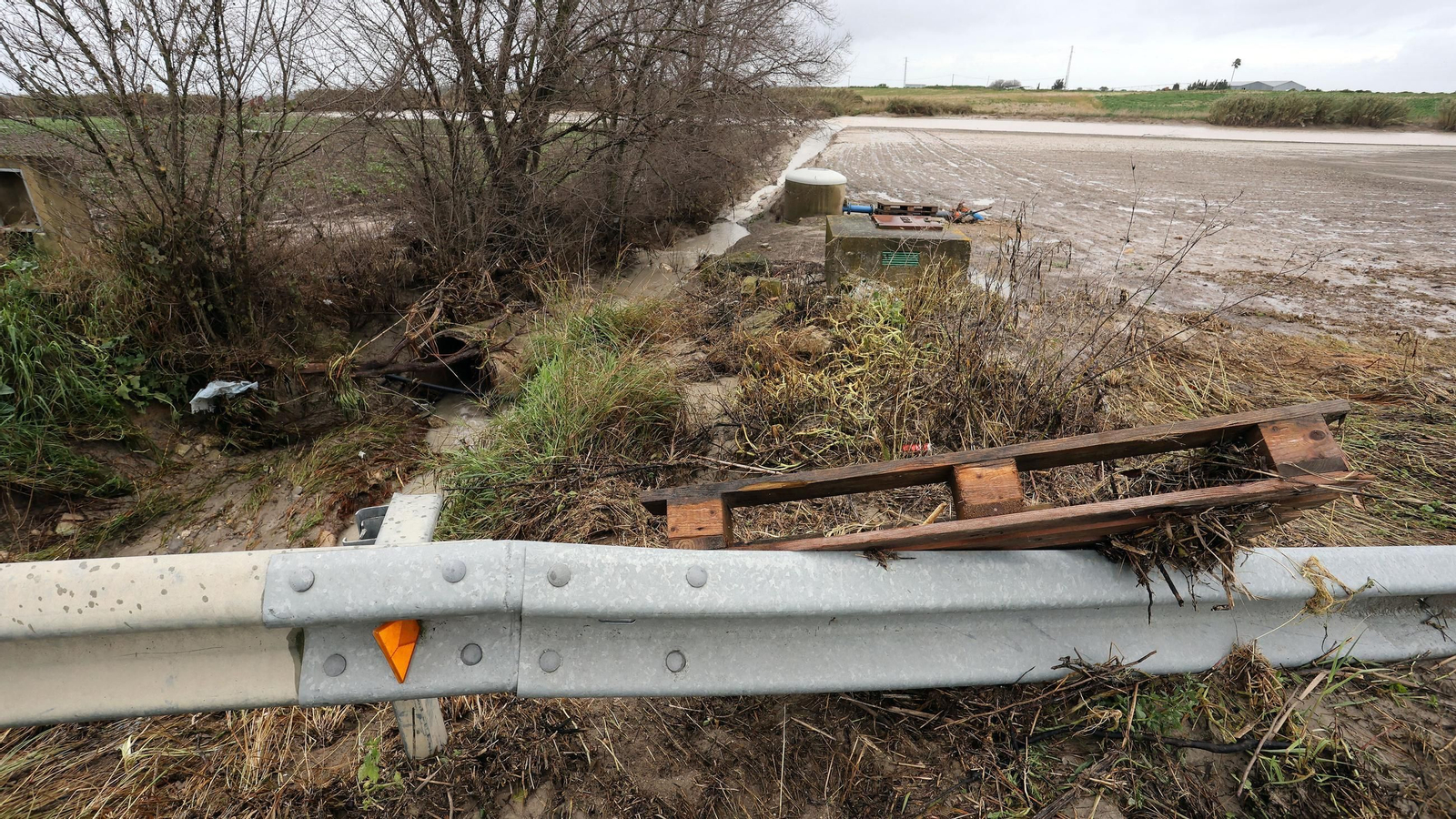 Imágenes del temporal de viento y lluvia en Jerez