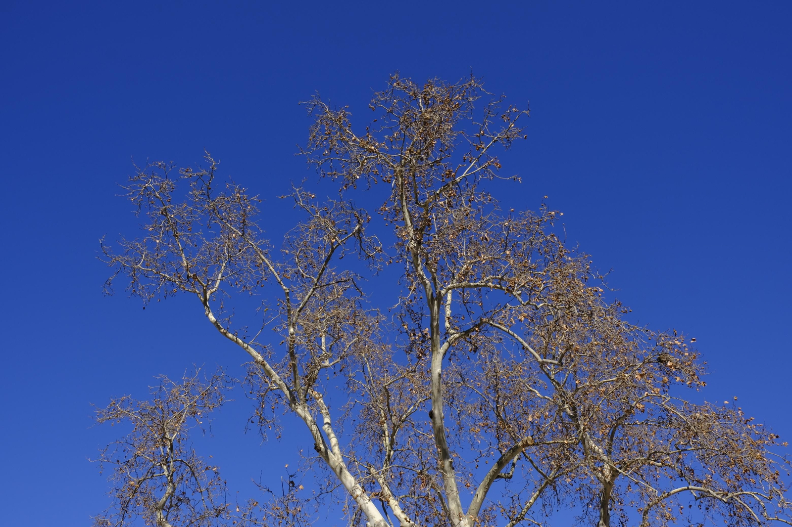 Fotogalería Vía Verde Lucainena de las Torres. Almería