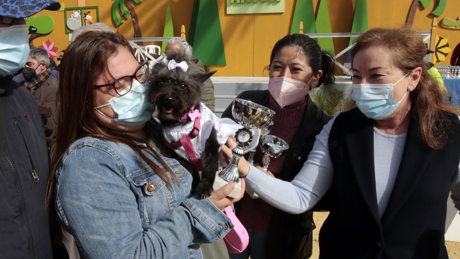 Imágenes de la 'Fiesta de San Antón 2022'