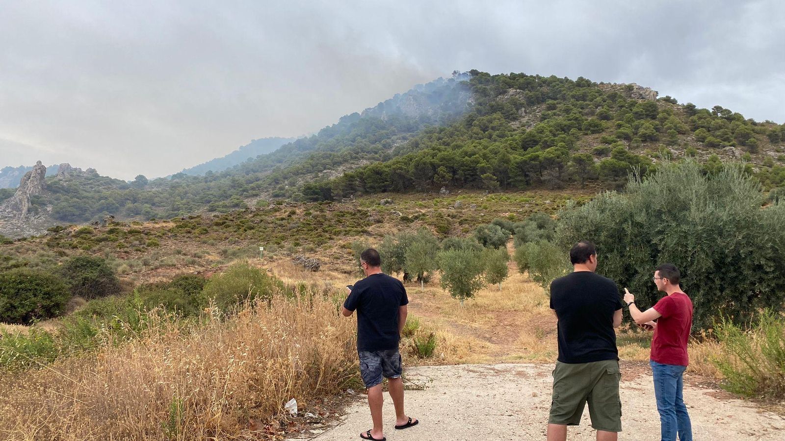 Curiosos se acercan para comprobar el avance de las llamas