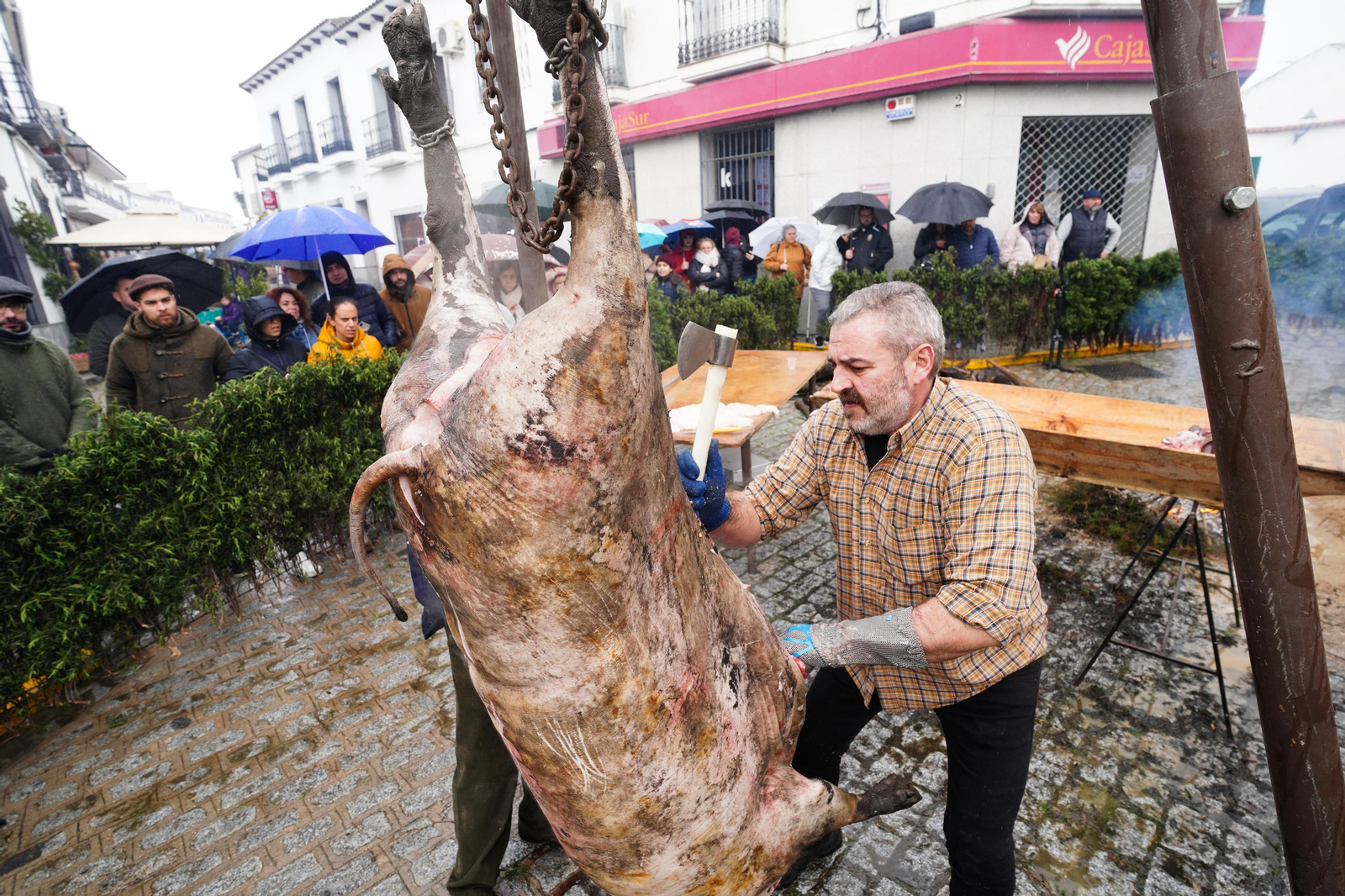 La Fiesta de la Matanza de Alcaracejos, en imágenes