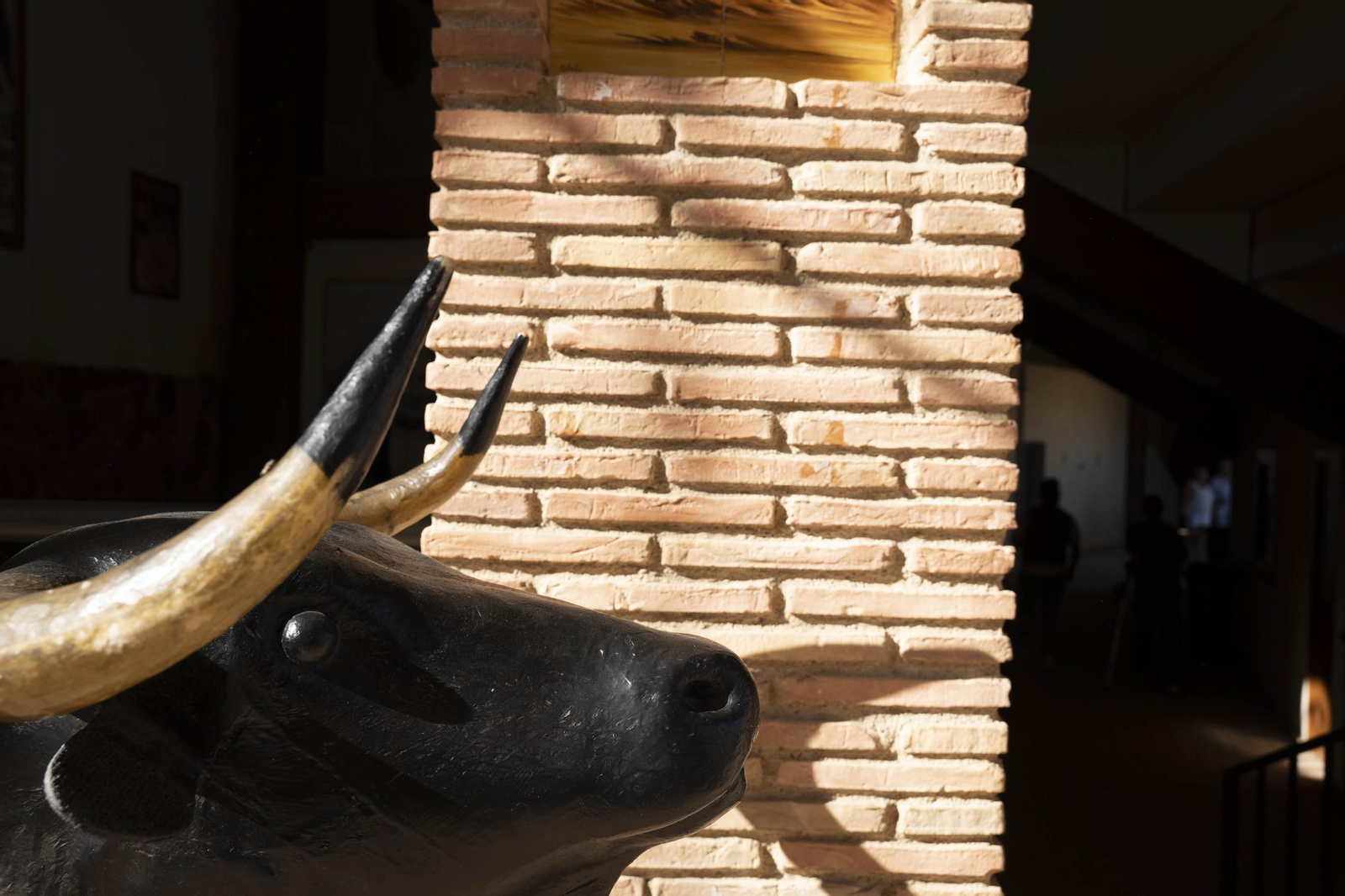 Las imágenes de los toros en Vera