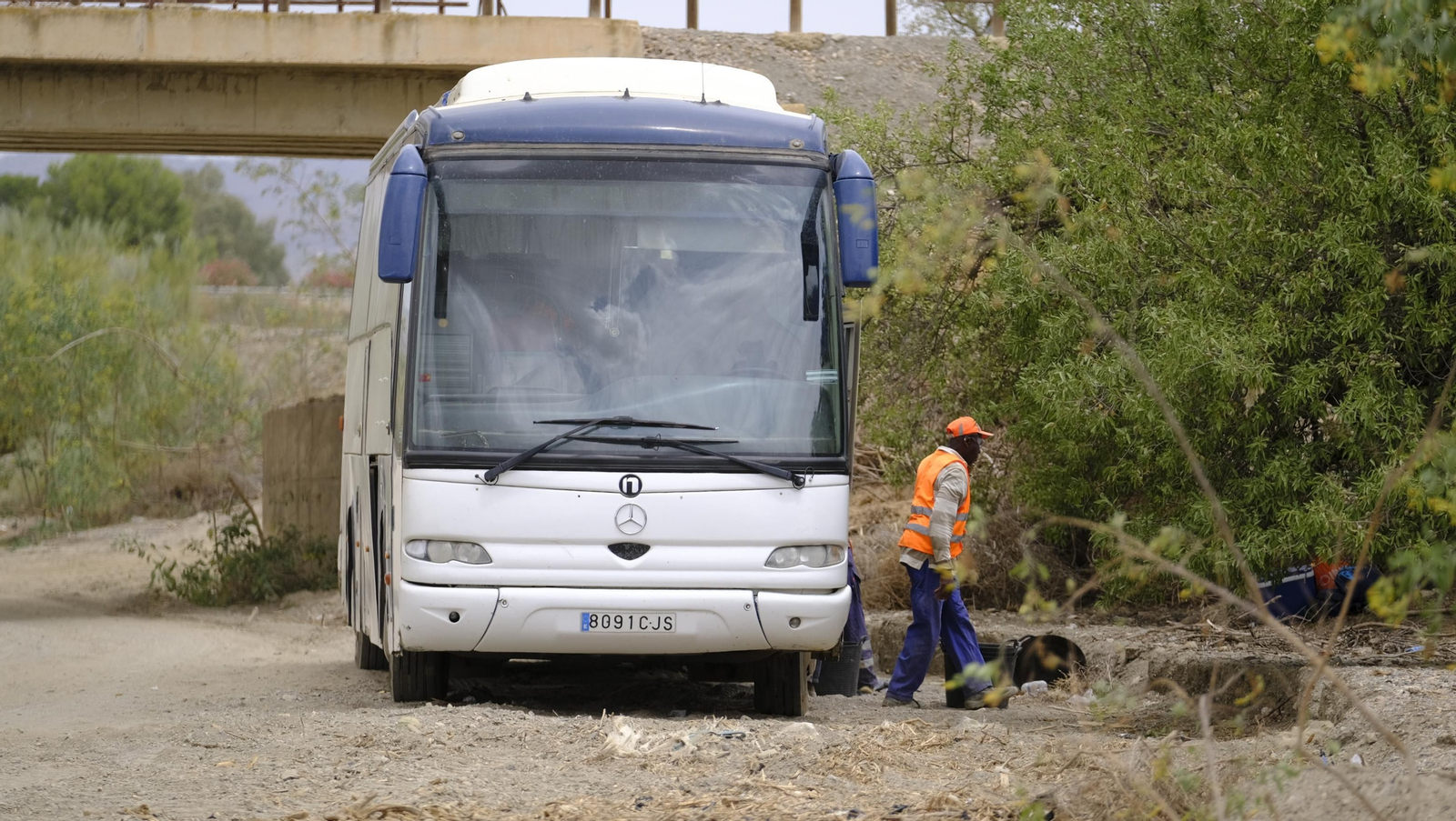 La sandía y el melón de Huércal Overa, manjares en imágenes