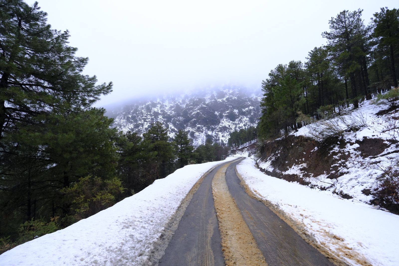 Fotogalería nevada en la Provincia de Almería