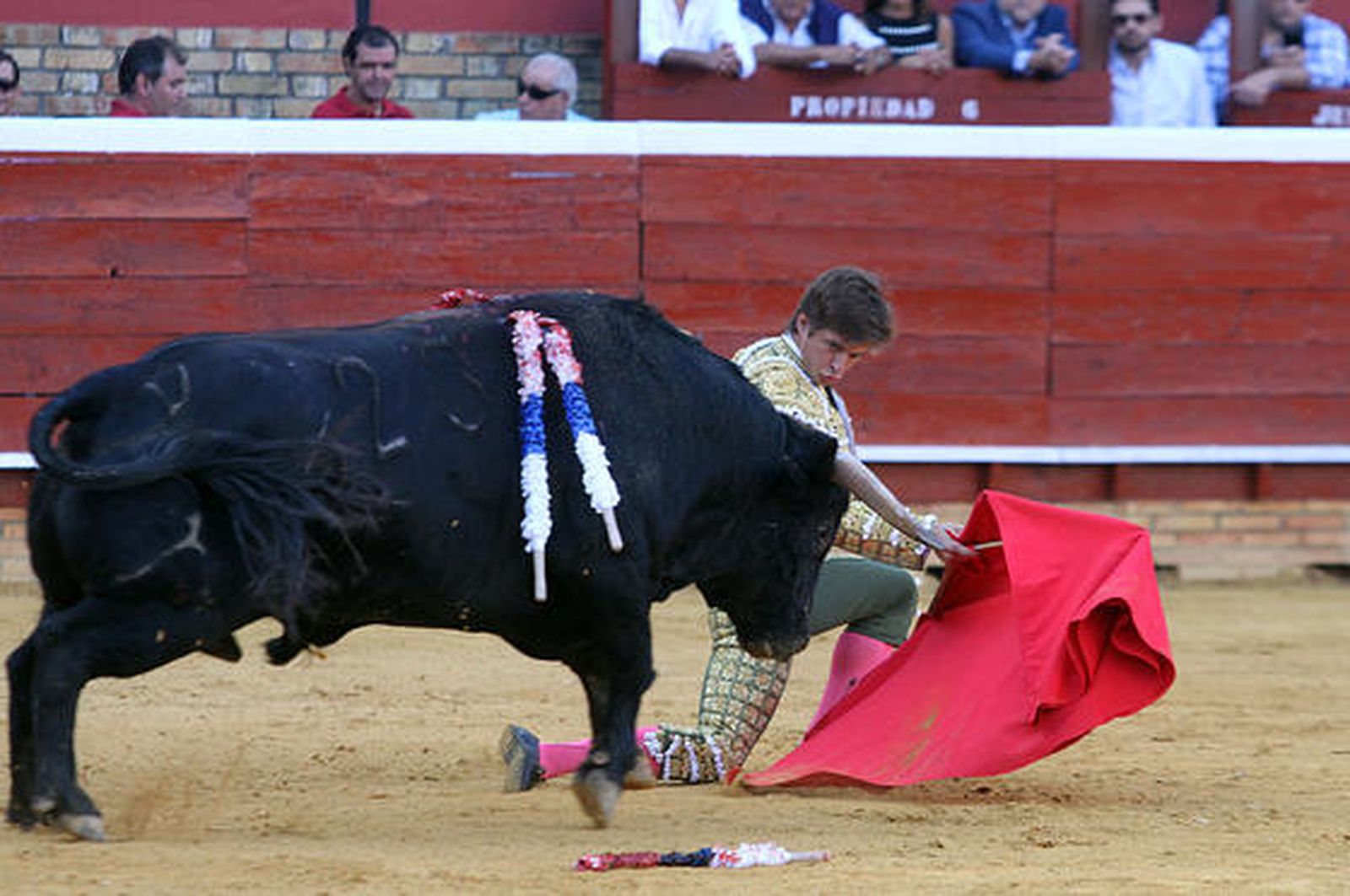 Foto: Alberto Domínguez