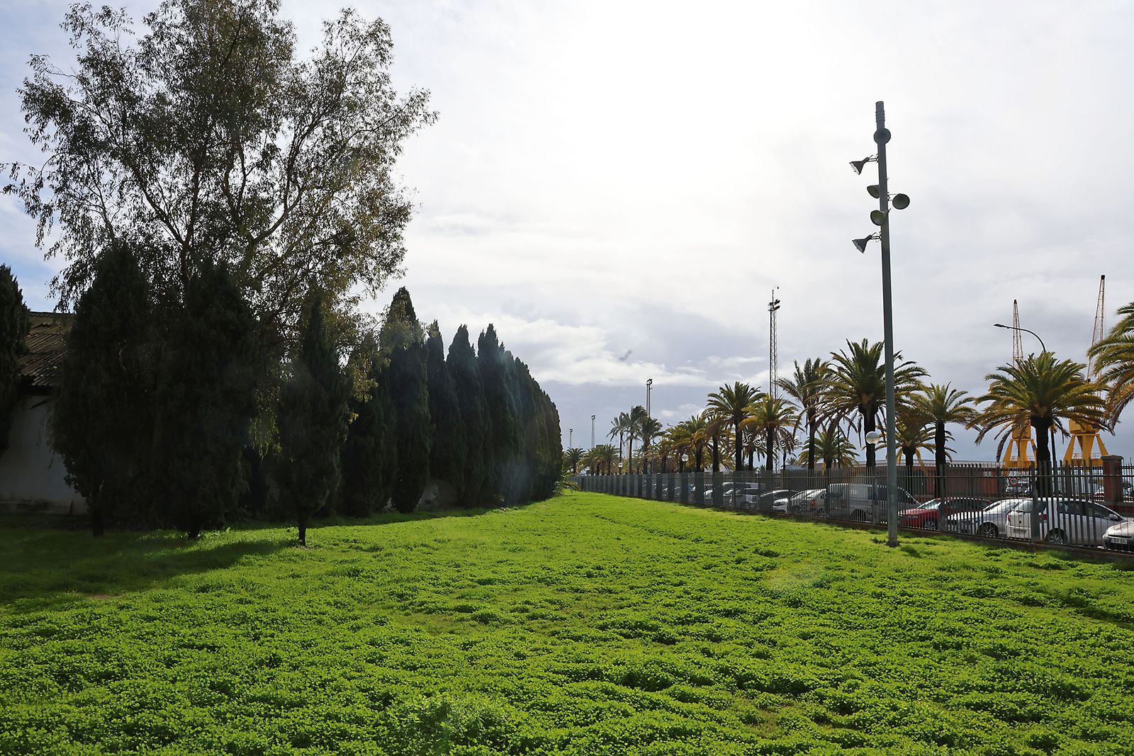 Último domingo de 2025: Ambiente y tiempo inestable marcan los preparativos de fin de año