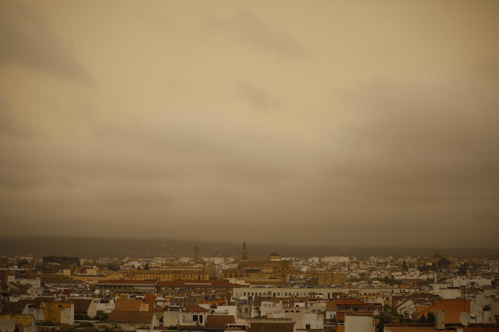La calima llega a Córdoba, en imágenes