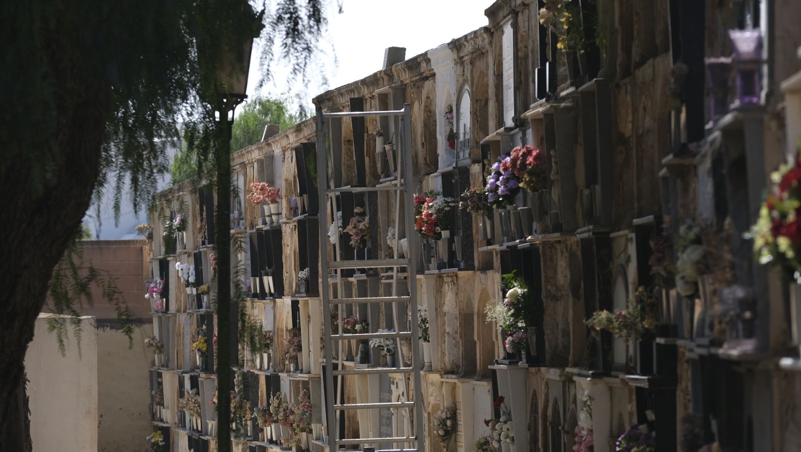 Imágenes del Día de Todos los Santos en el Cementerio de San José de Almería