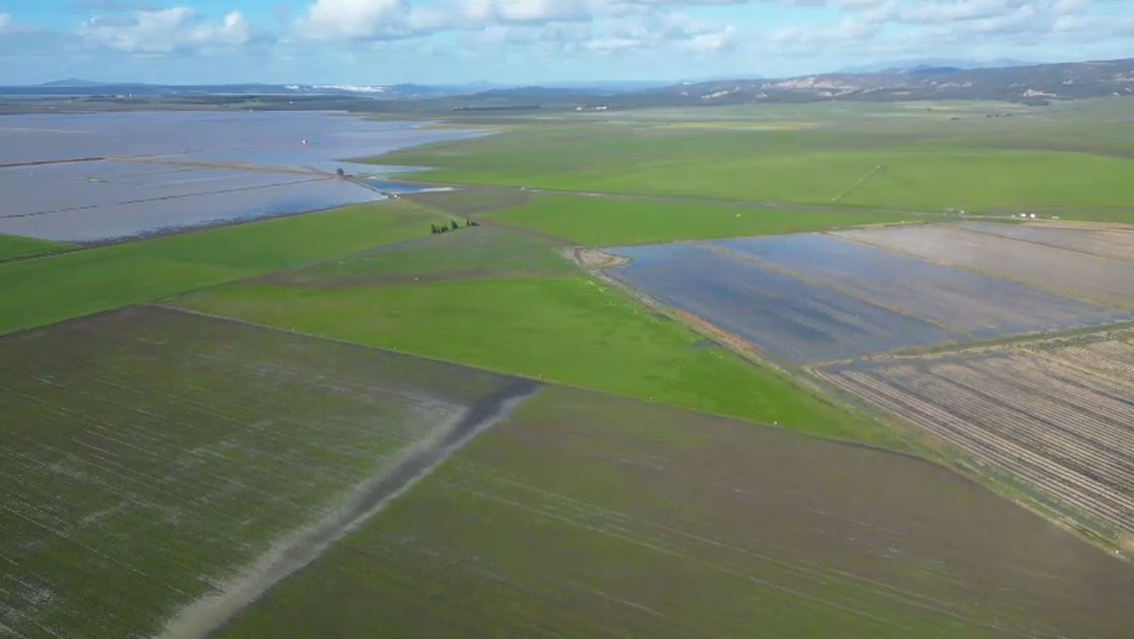 Vuelo de dron sobre la laguna reinundada de La Janda.
