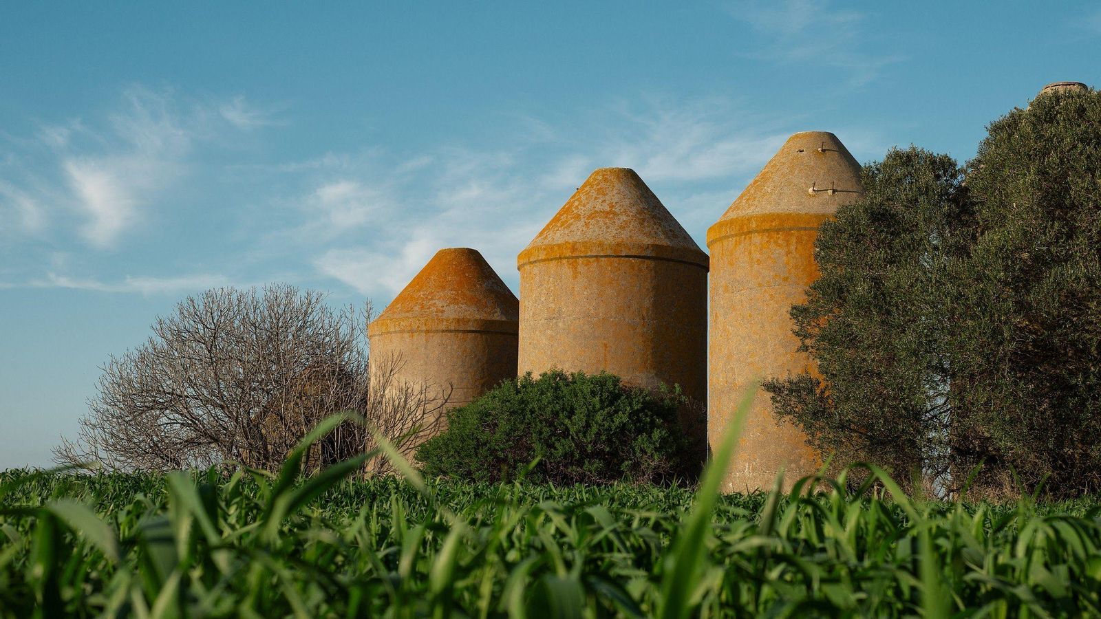 Silos del cortijo. Silos del cortijo.