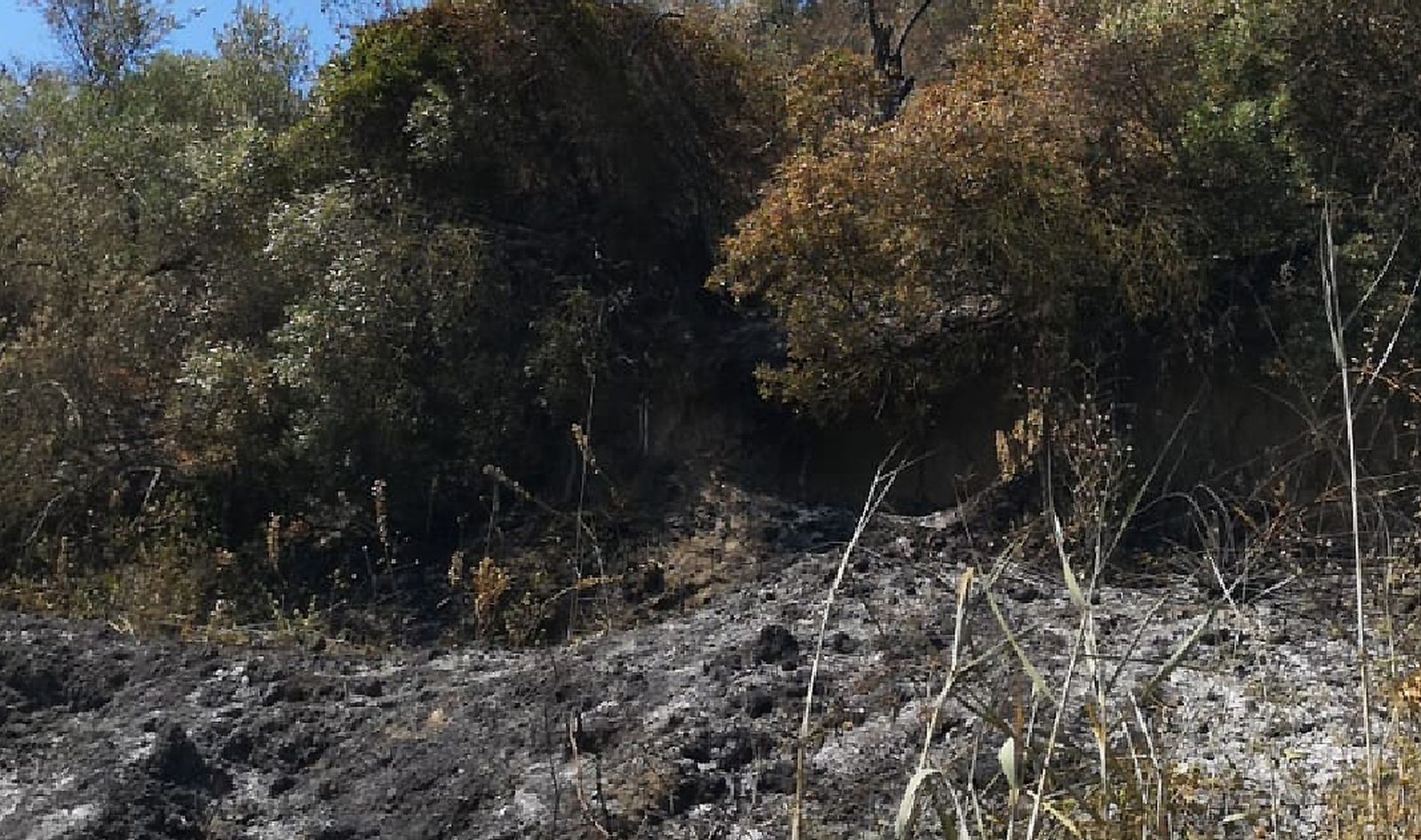 Así ha quedado la cornisa de Gelves tras el incendio